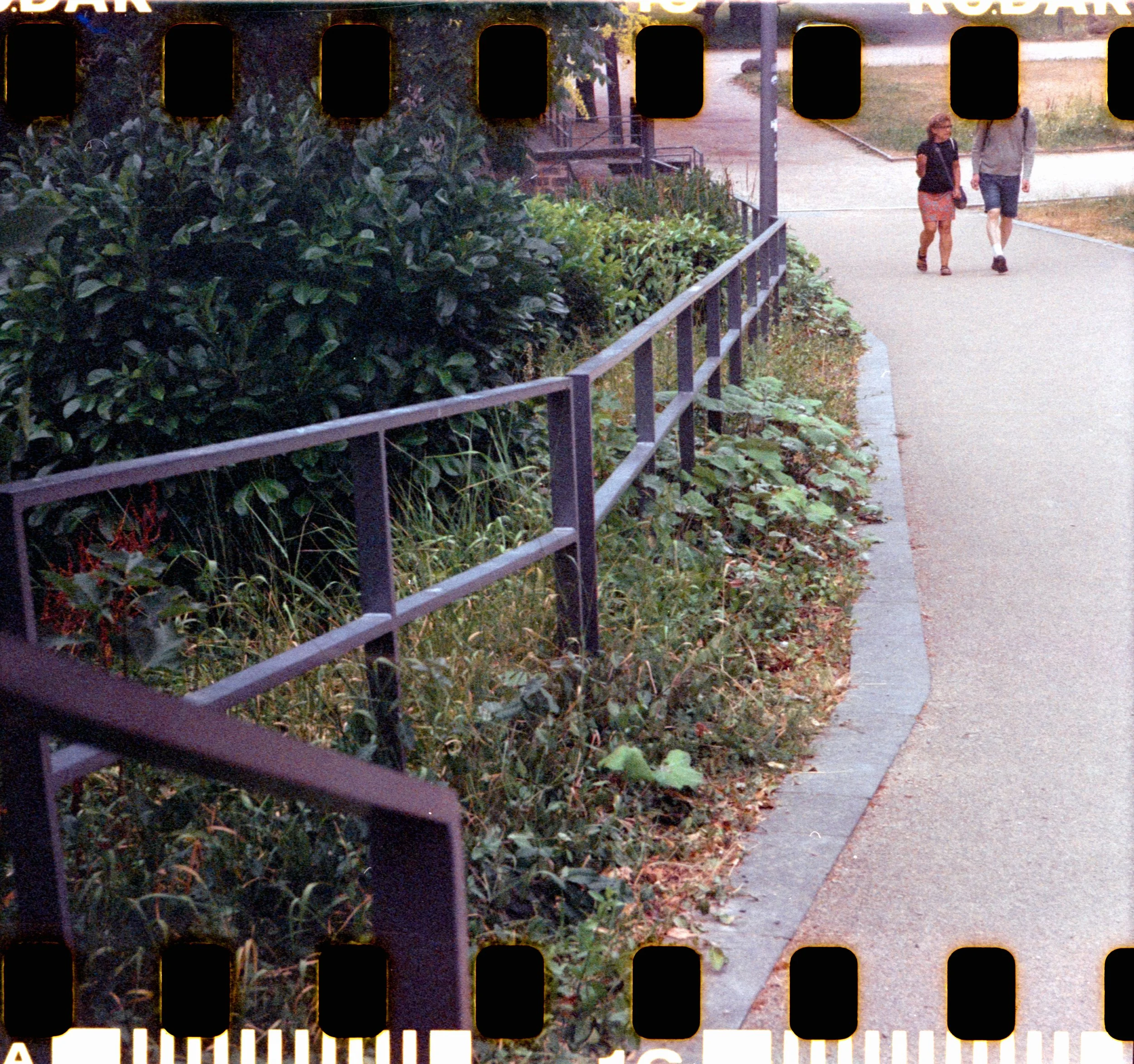 17_2026_DianaF+_KodakGold200-15.jpg