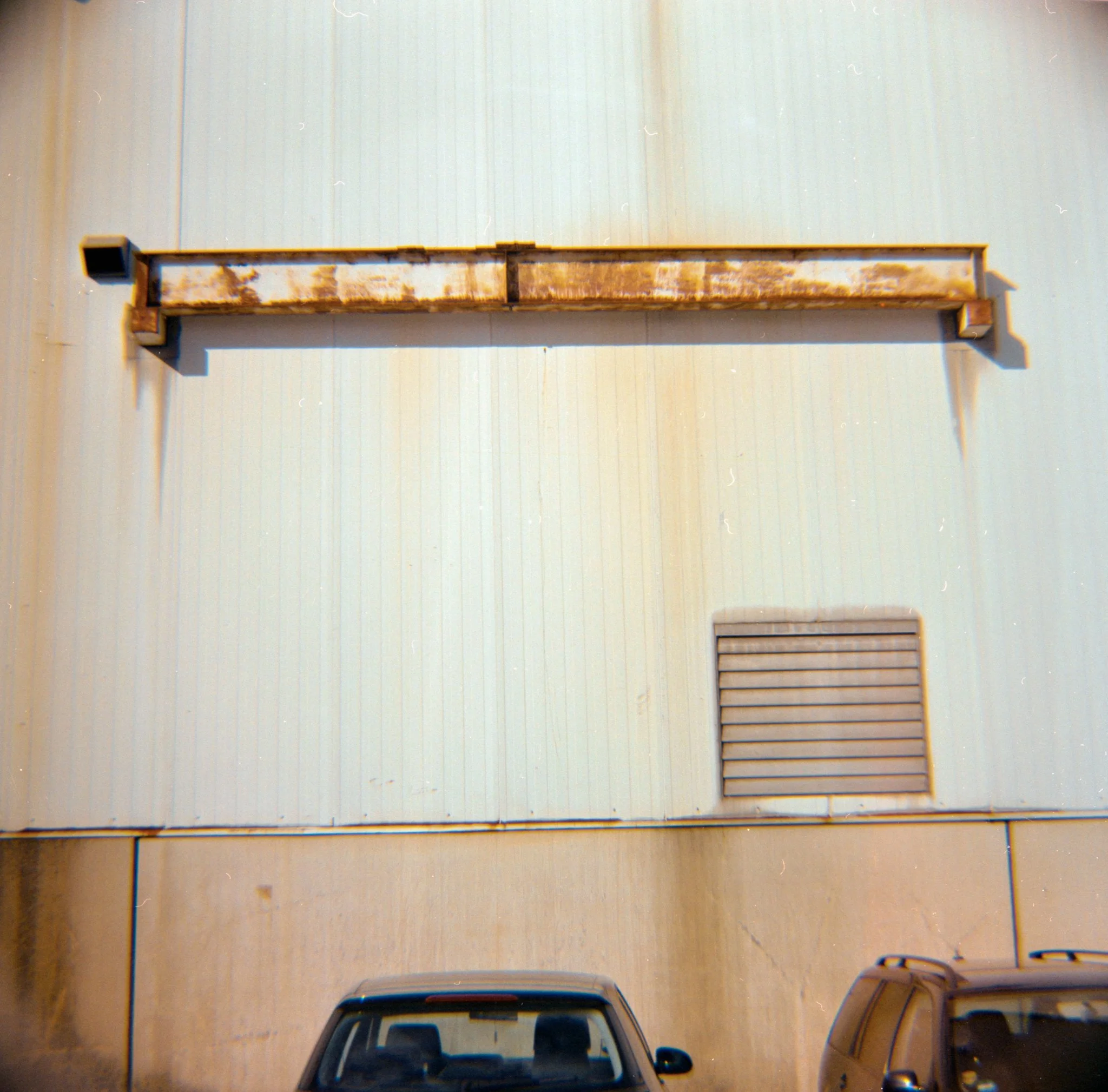 29_2026_DianaF+_KodakGold200-5.jpg