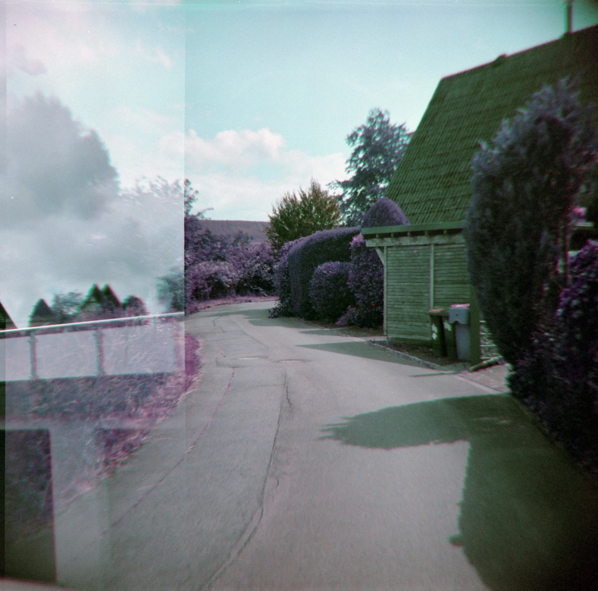 16_2026_DianaF+_LomoPurple200-2.jpg