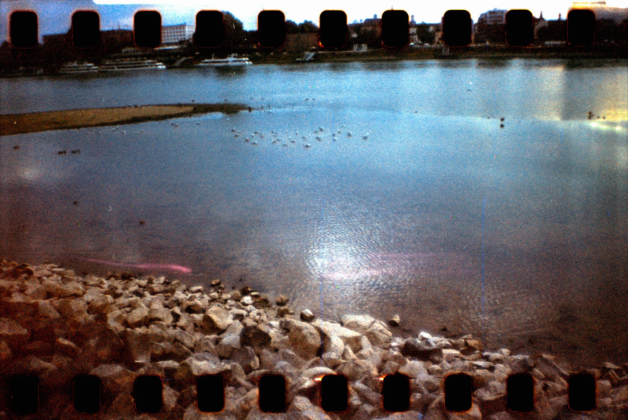 31_2026_DianaF+_Kono200-9.jpg
