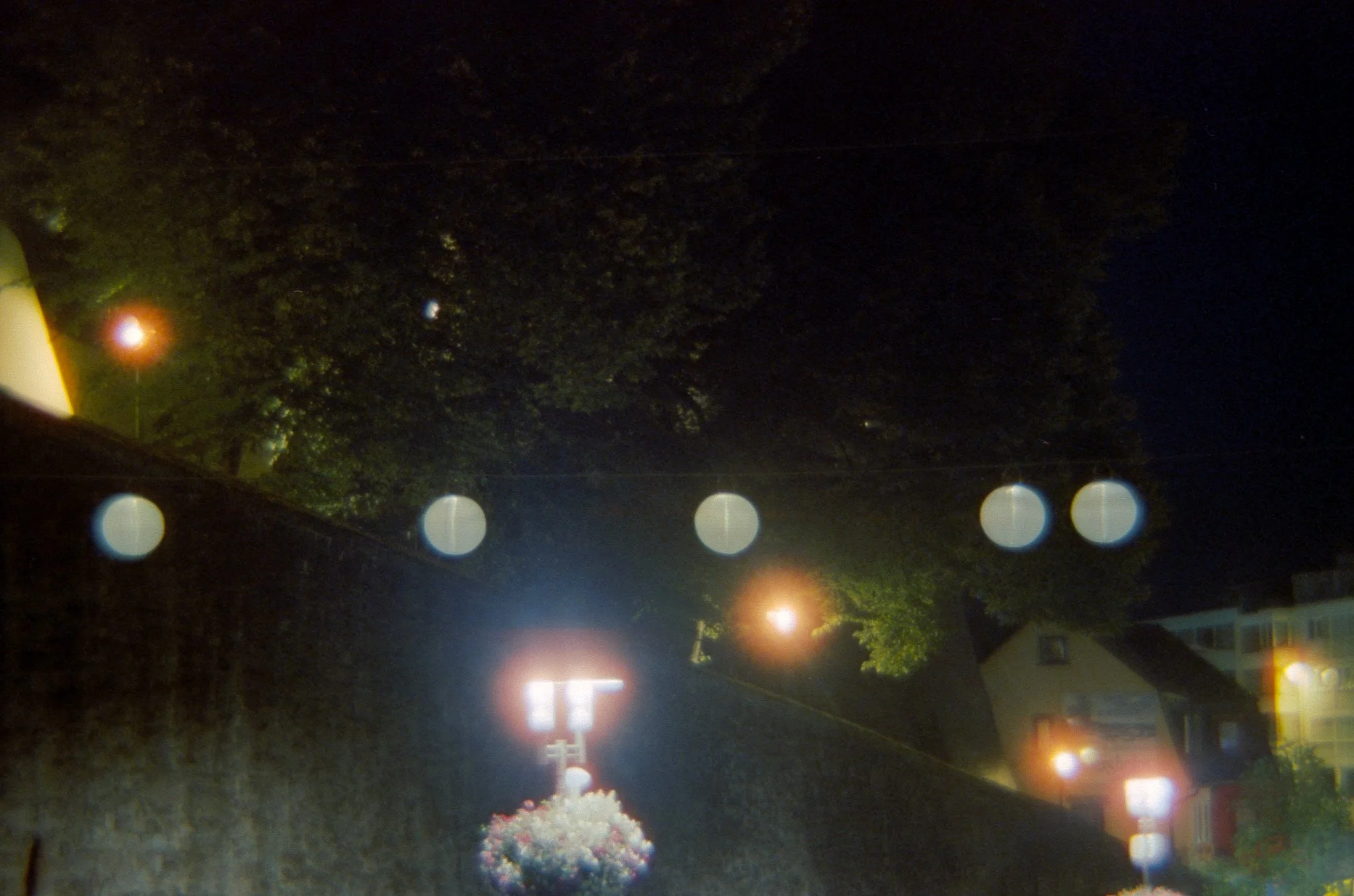 19_2026_DianaF+_CineStill800T-34.jpg