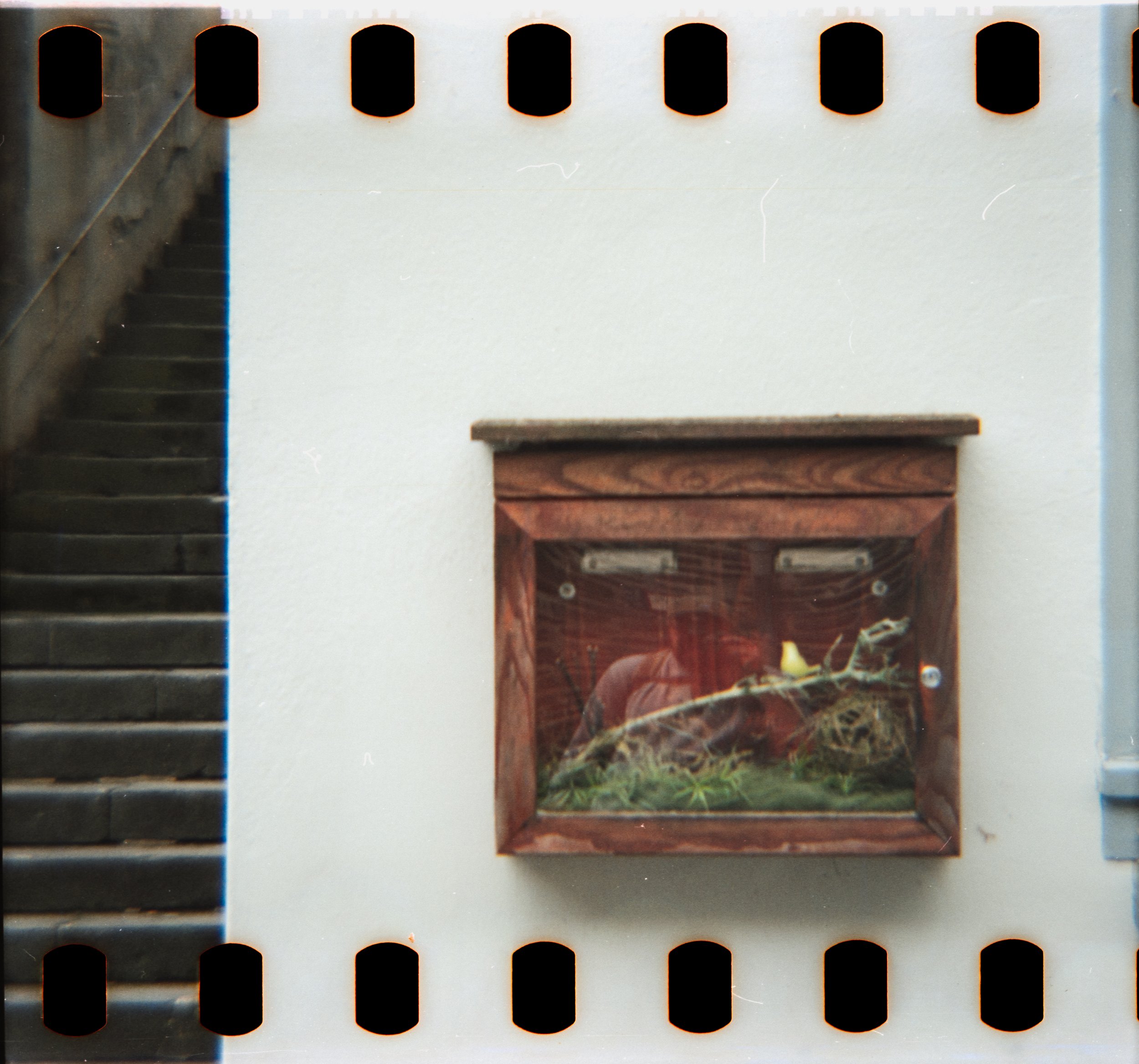 DianaF+_Motion250D_10_2025-27.jpg