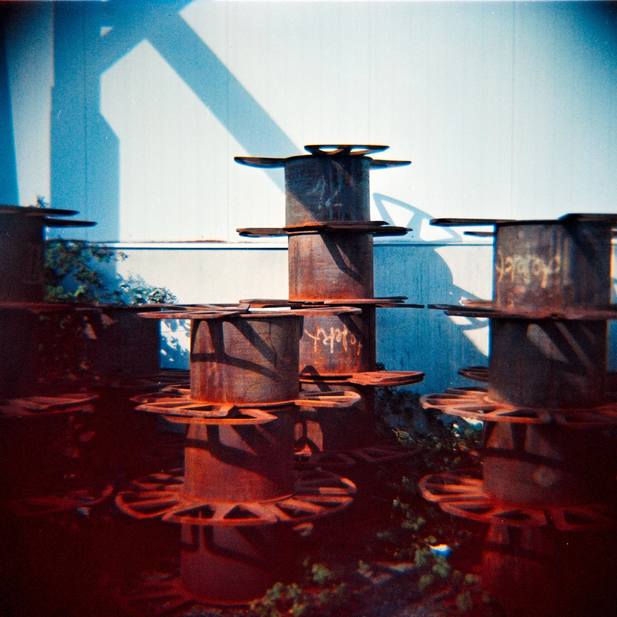 29_2026_DianaF+_Opticolour200-4.jpg