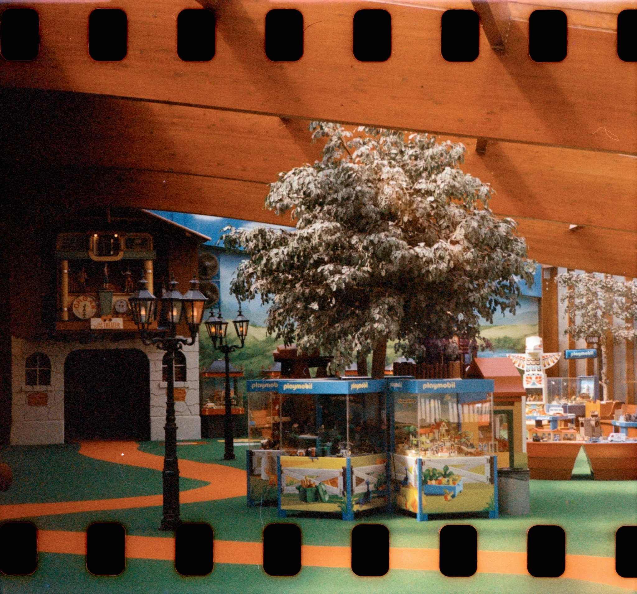 21_2026_DianaF+_Kono200-25.jpg