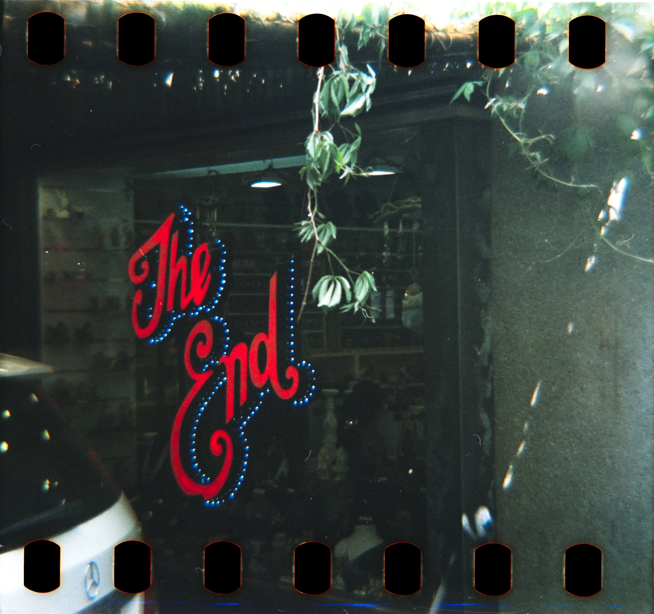 Diana F+ / Optik's Motion 250D 135 / Diana 75mm Lens