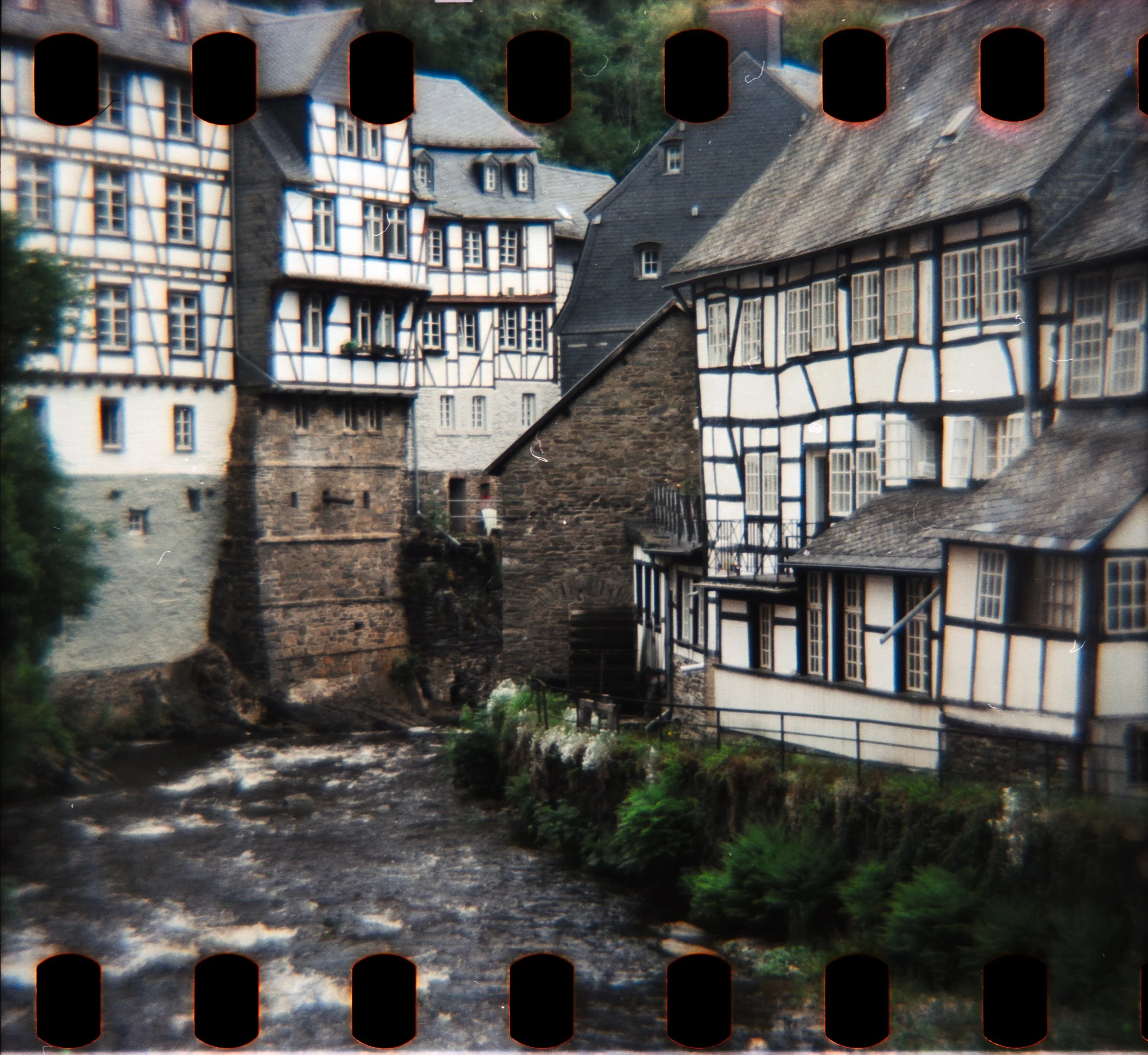 DianaF+_Motion250D_10_2025-31.jpg