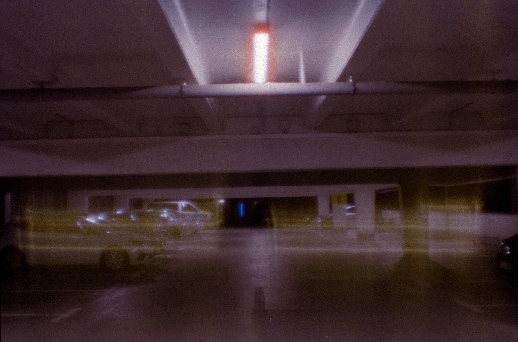 19_2026_DianaF+_CineStill800T-6.jpg