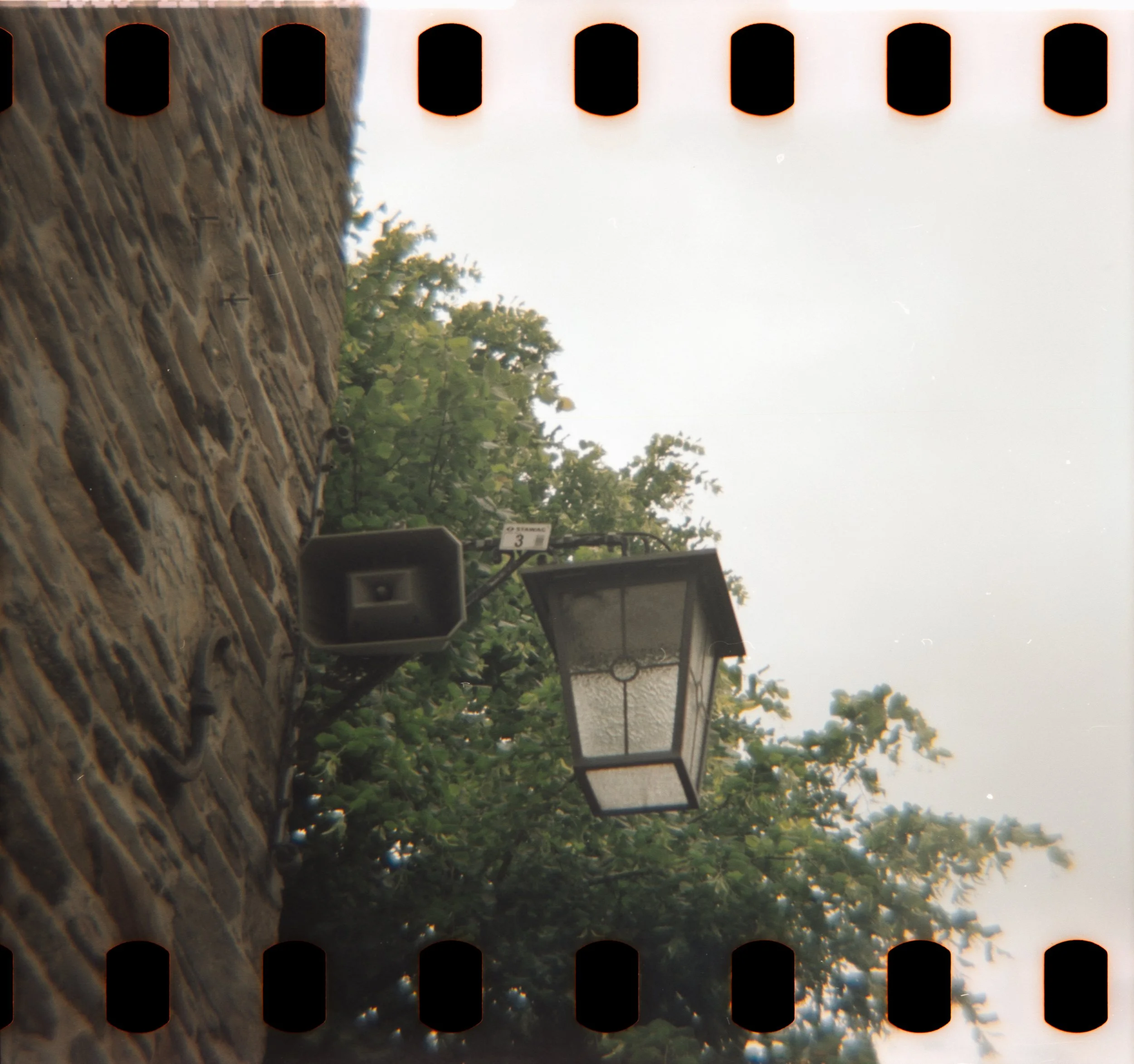 DianaF+_Motion250D_10_2025-24.jpg