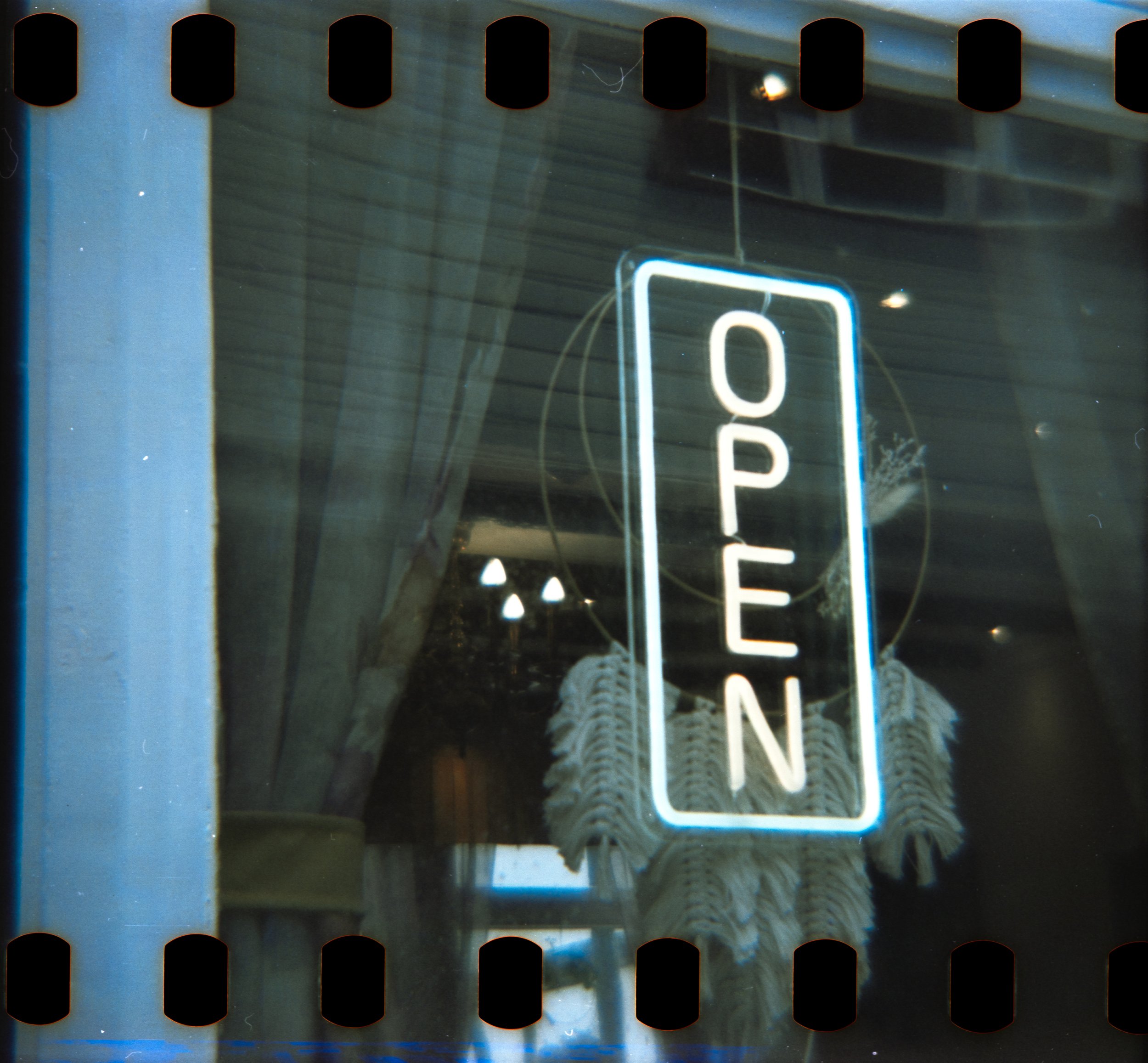 DianaF+_Motion250D_10_2025-7.jpg