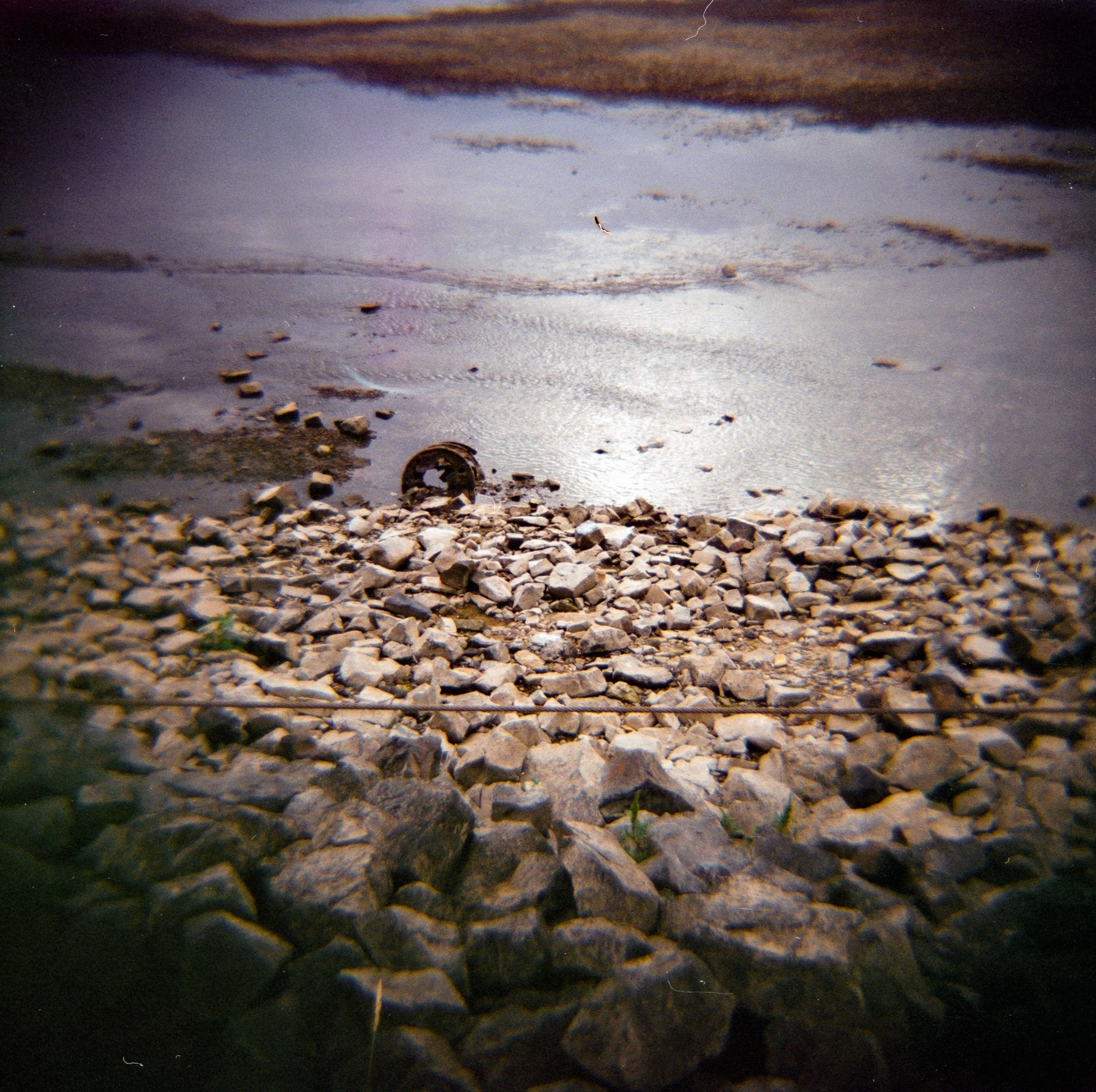 32_2026_DianaF+_KodakGold200-9.jpg