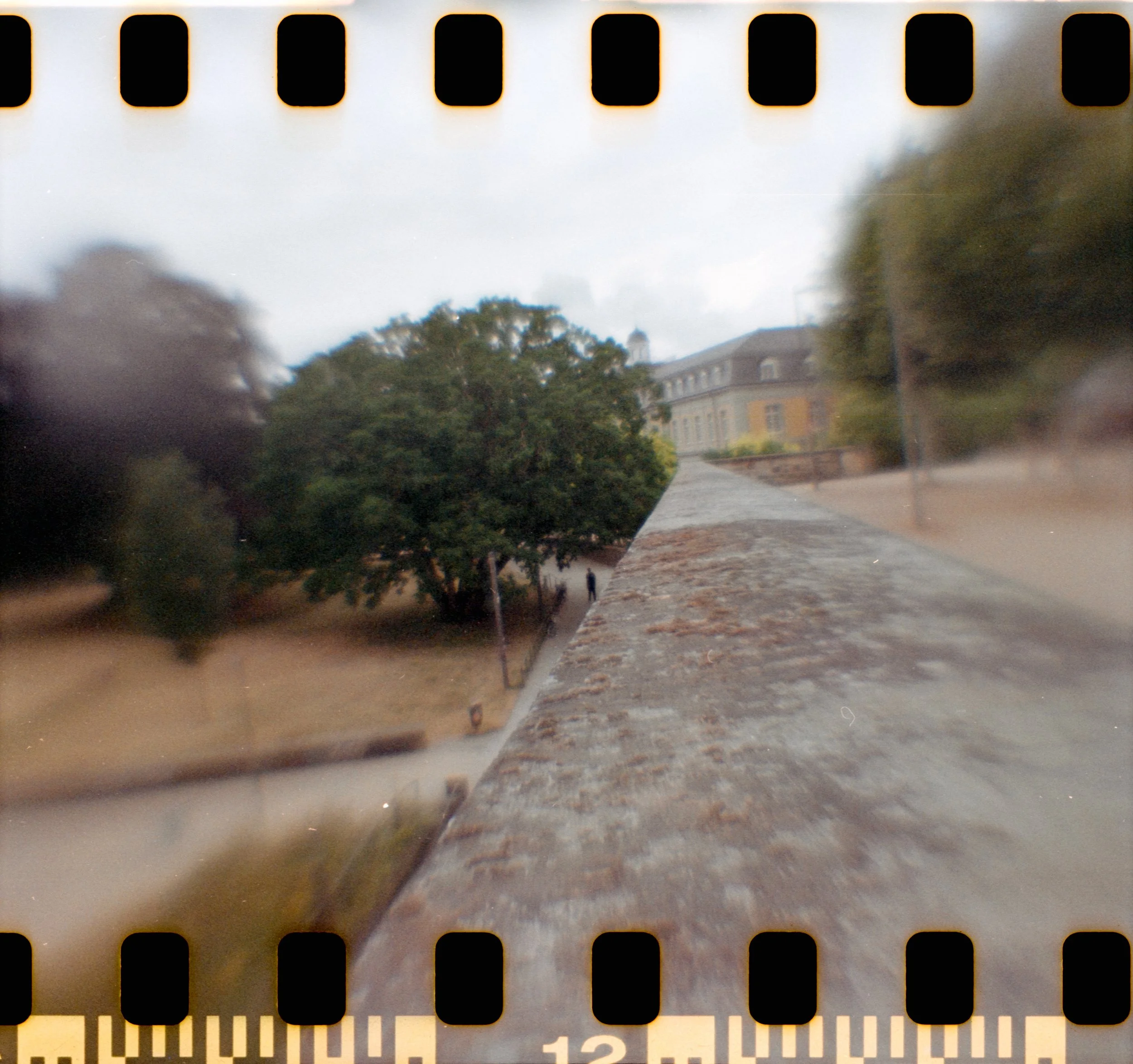 17_2026_DianaF+_KodakGold200-20.jpg