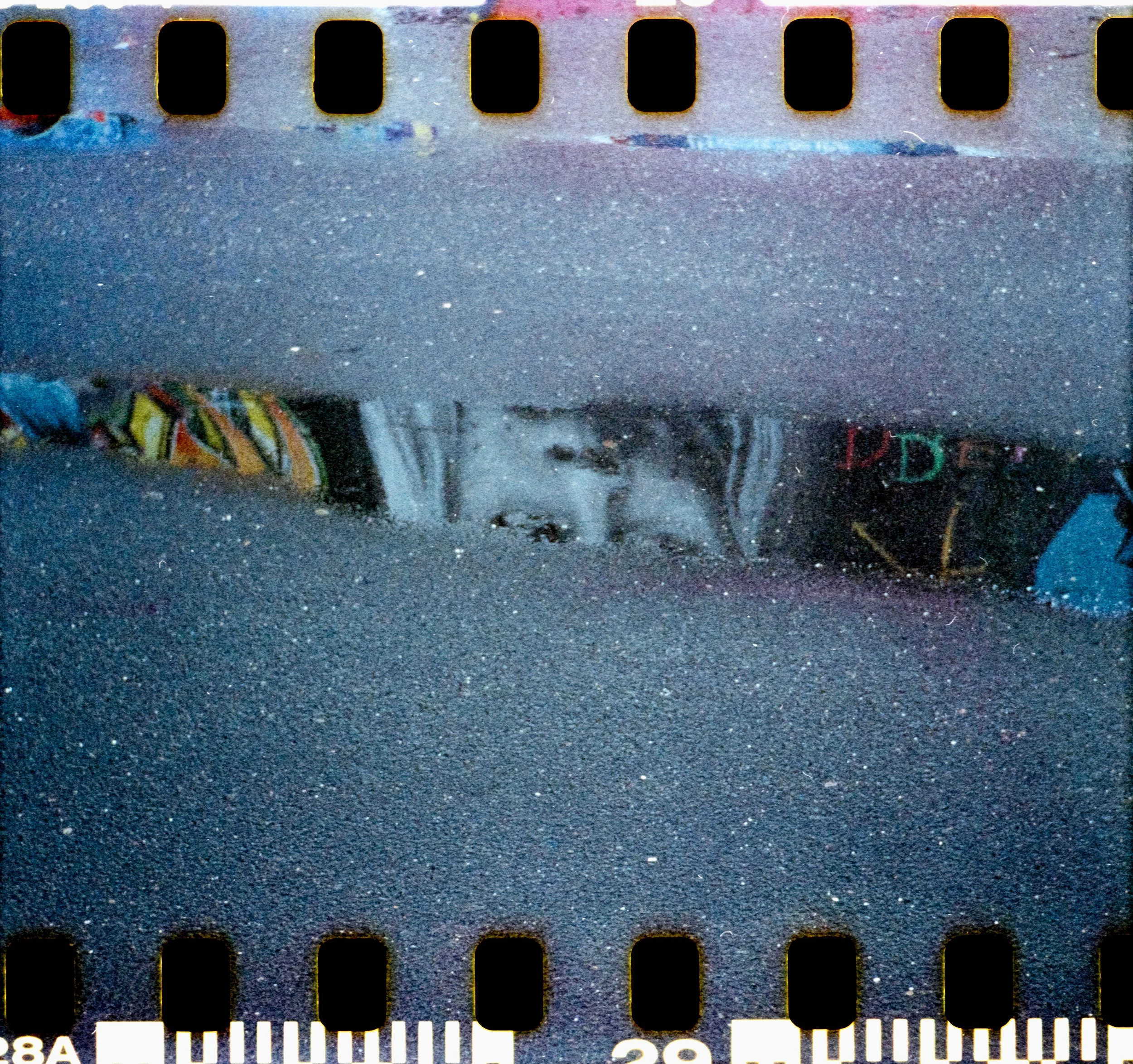 17_2026_DianaF+_KodakGold200-22.jpg