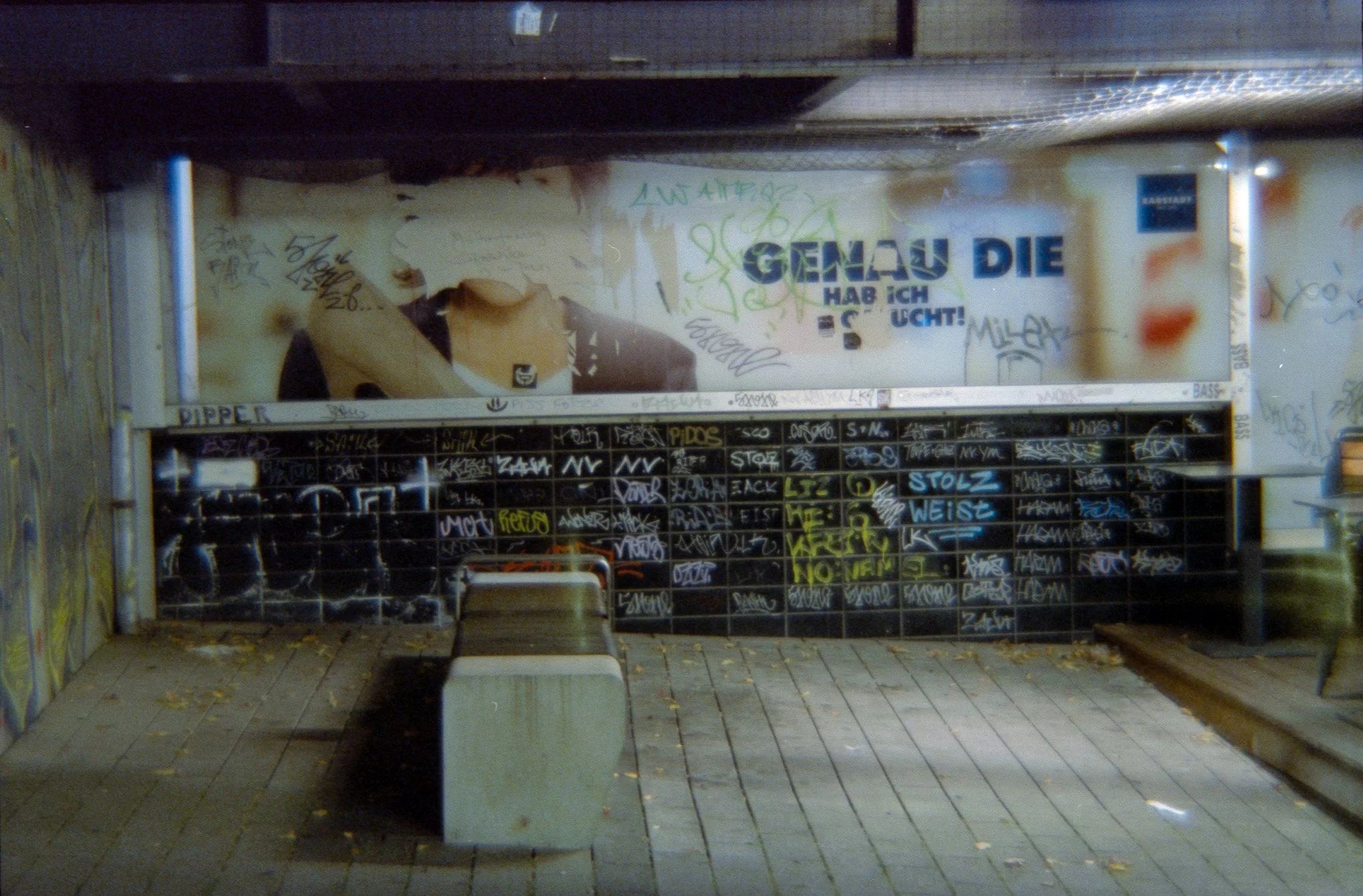 19_2026_DianaF+_CineStill800T-20.jpg