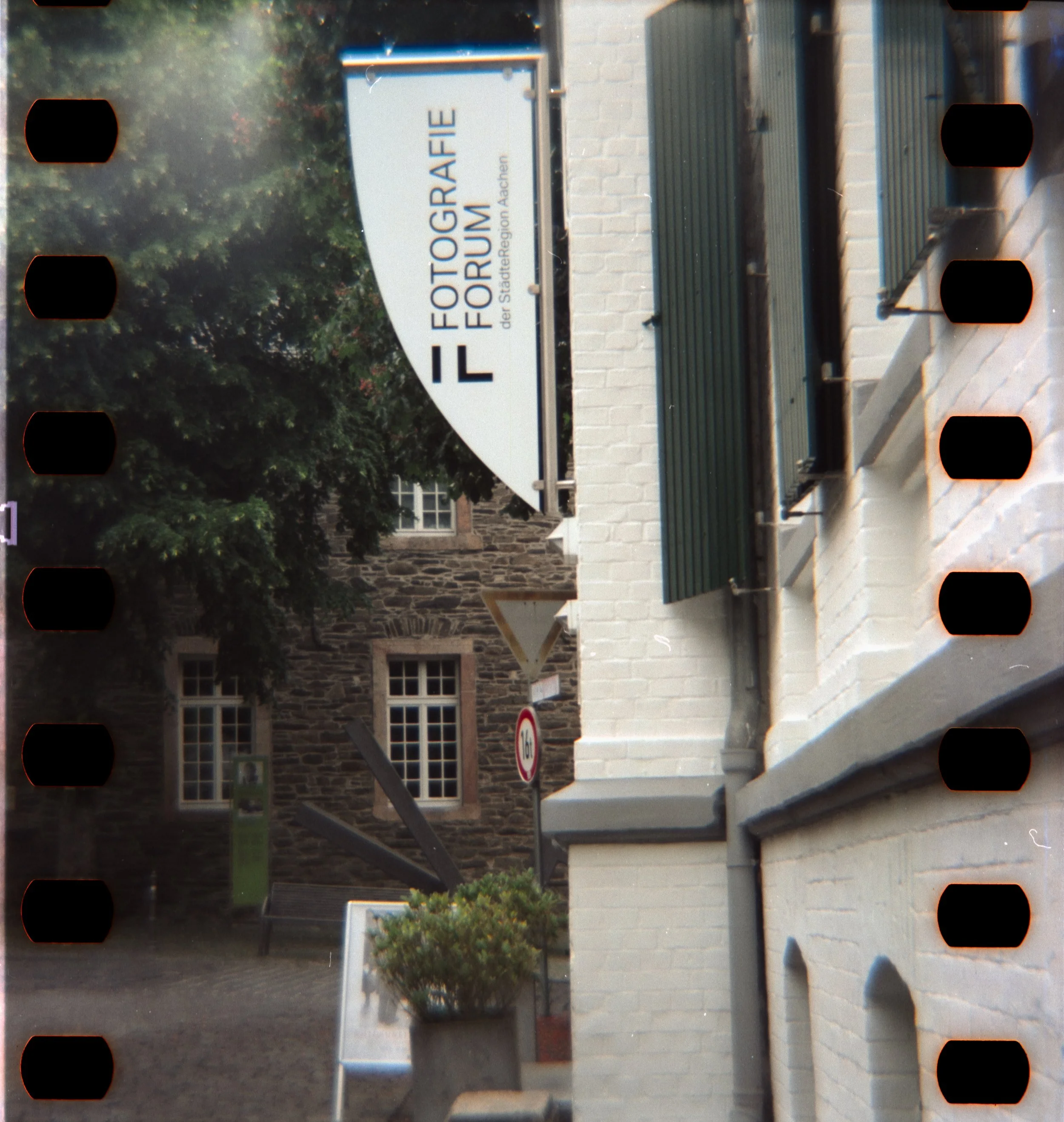 DianaF+_Motion250D_10_2025-20.jpg