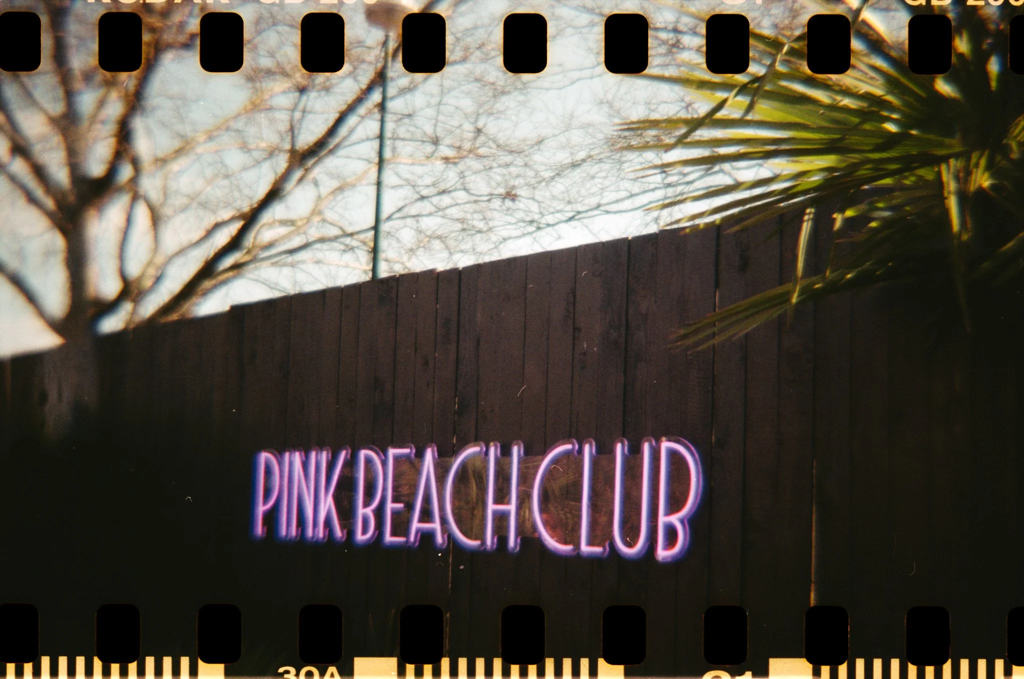 DianaF+_KodakGold200_06_2025-13.jpg