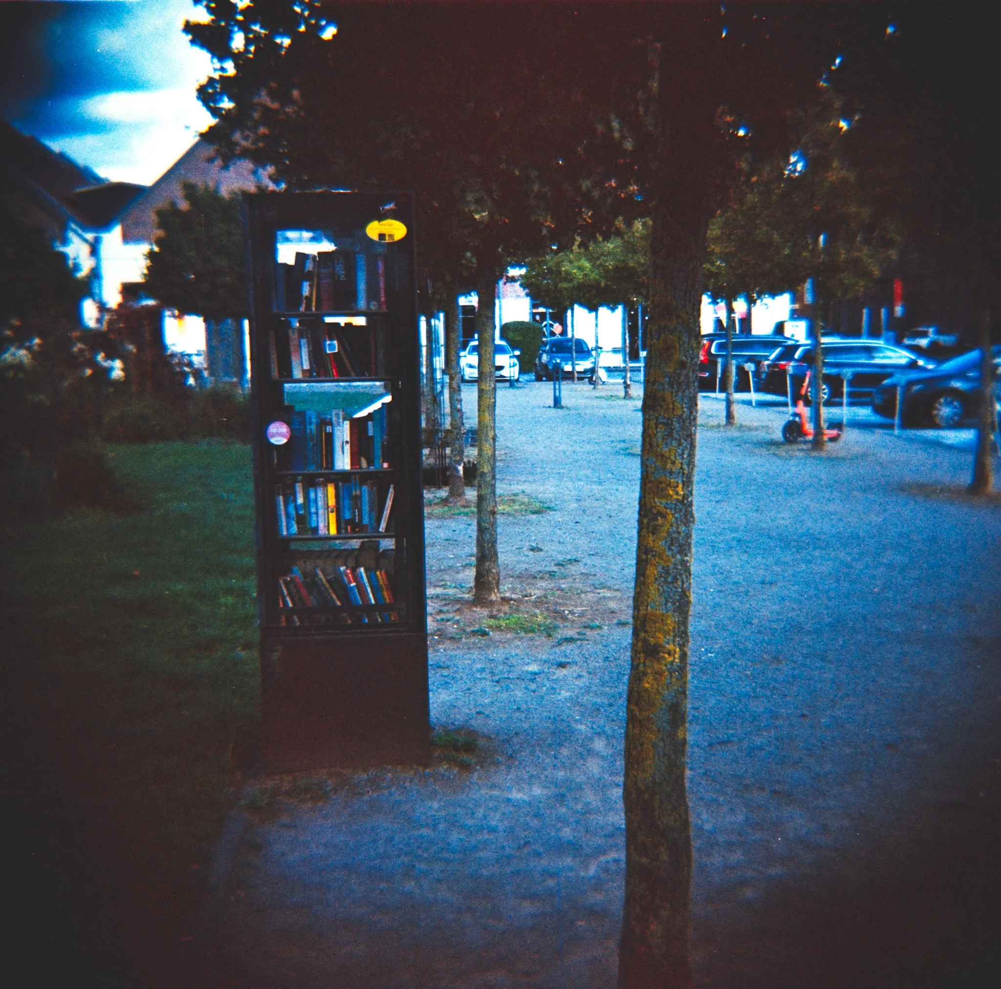 29_2026_DianaF+_Opticolour200-7.jpg