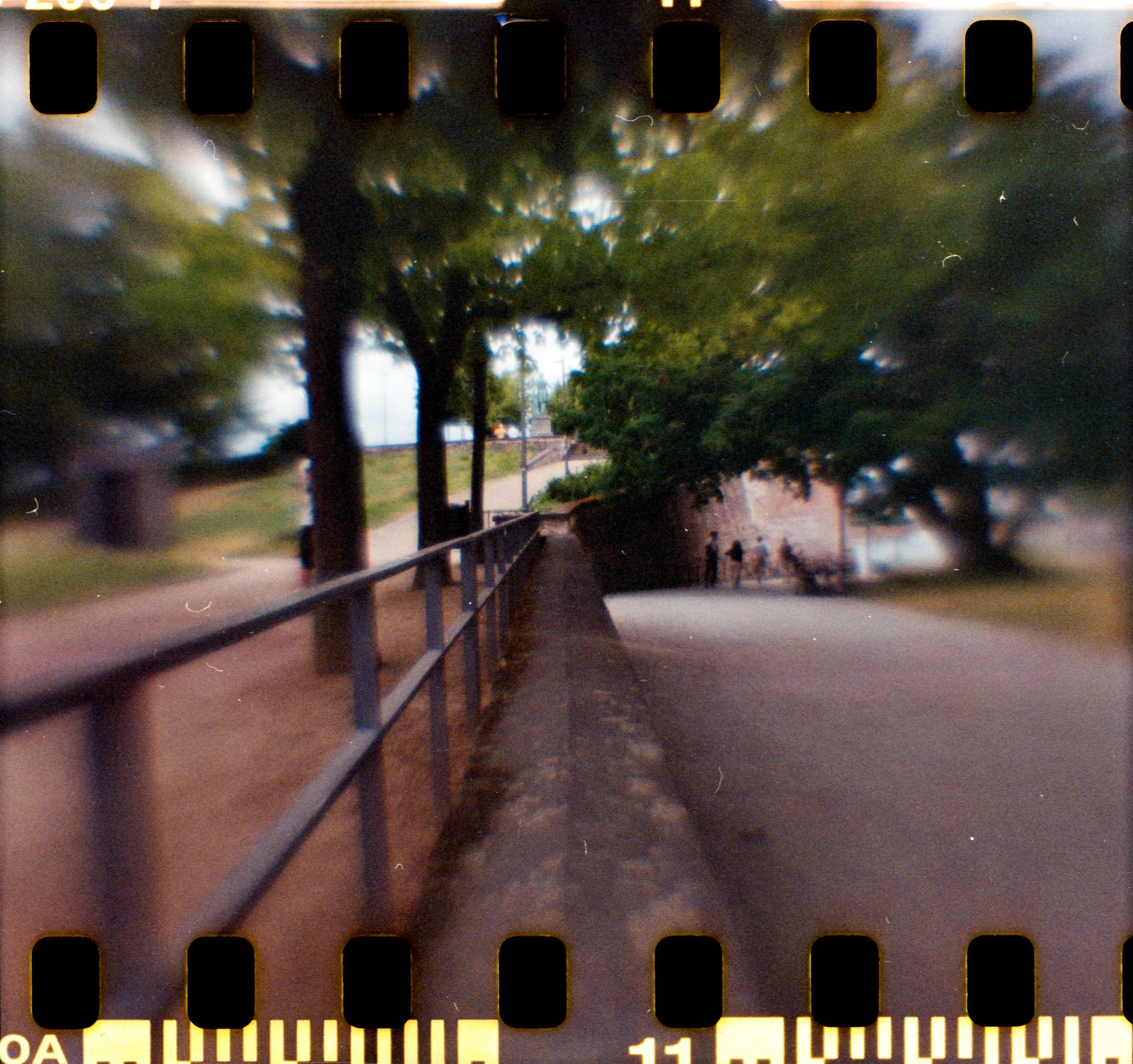17_2026_DianaF+_KodakGold200-14.jpg