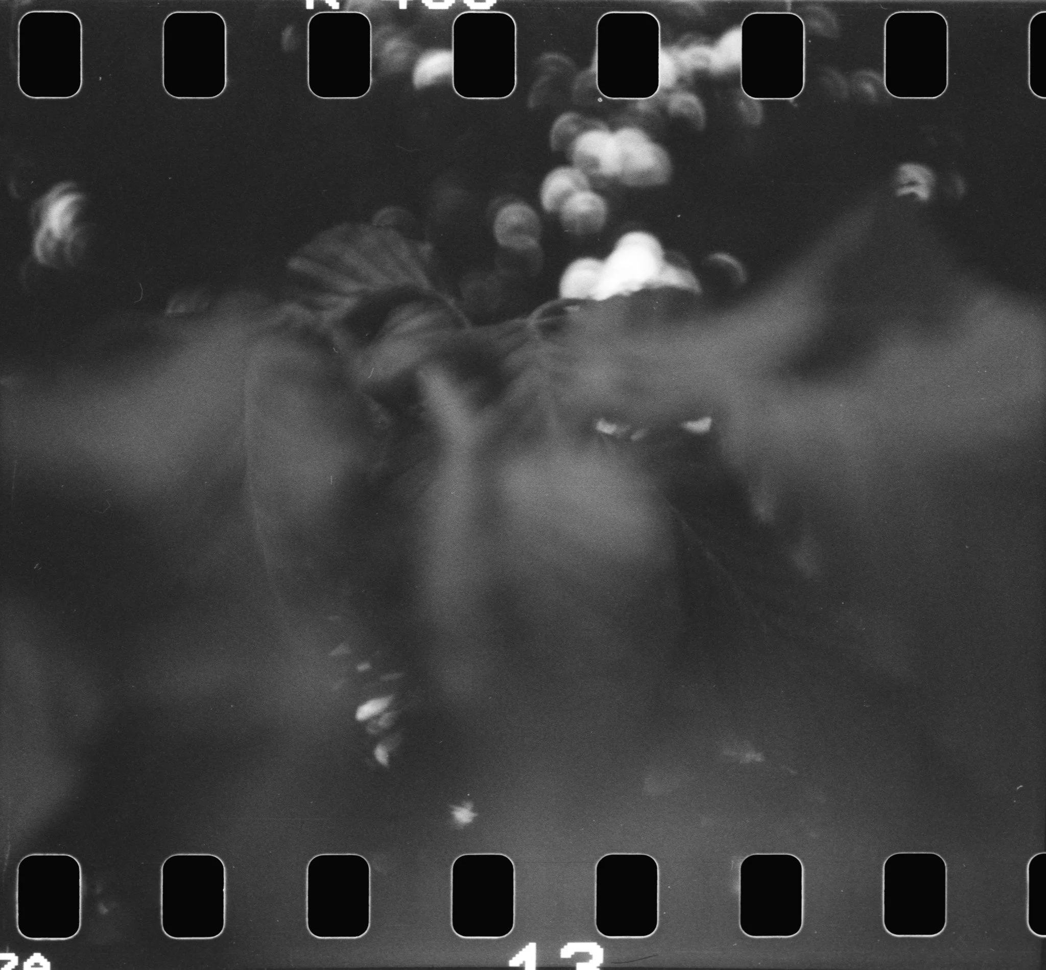 DianaF+_Kentmere400_09_2025-12.jpg