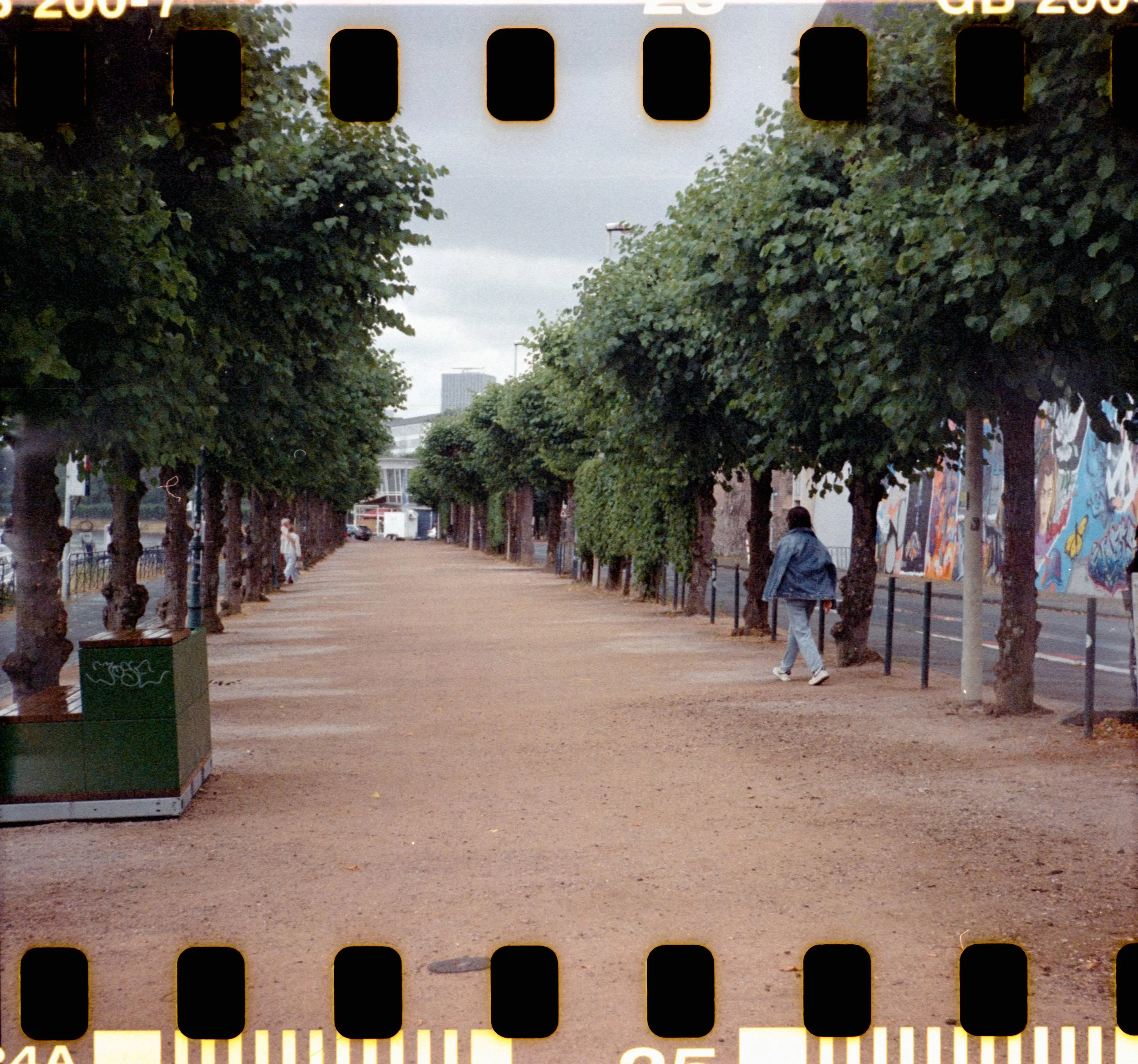 17_2026_DianaF+_KodakGold200-25.jpg