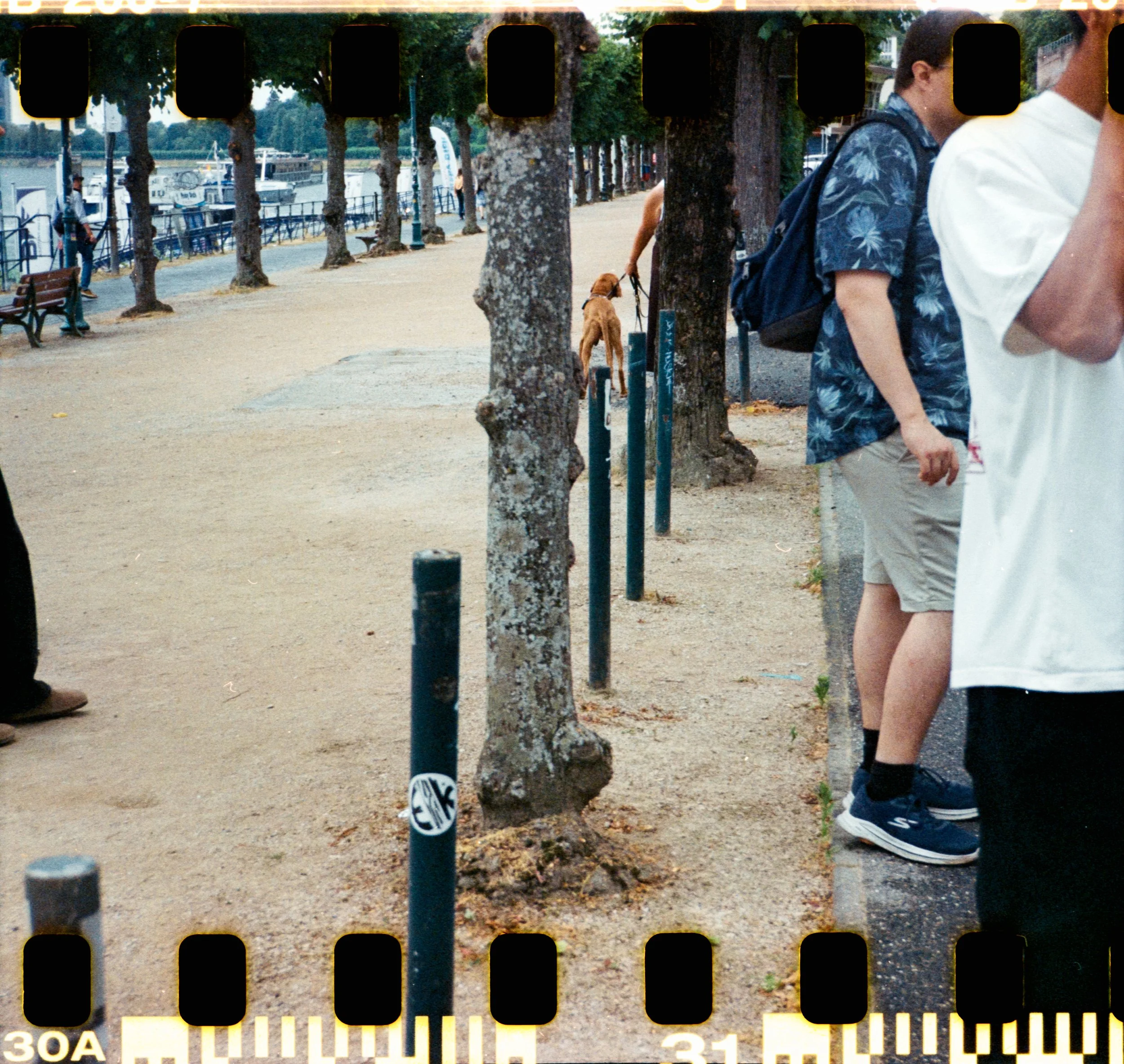 17_2026_DianaF+_KodakGold200-2.jpg