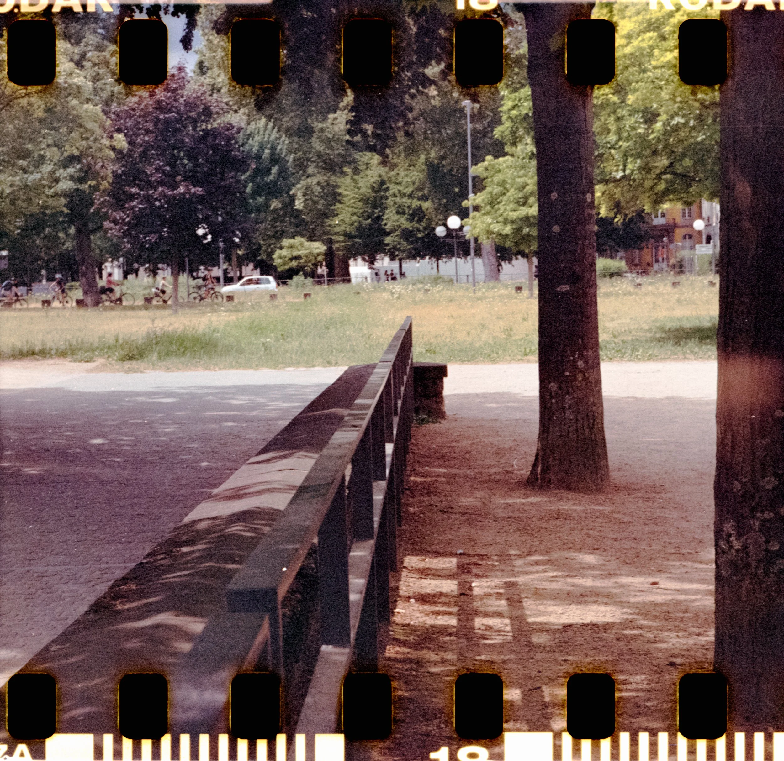 17_2026_DianaF+_KodakGold200-7.jpg