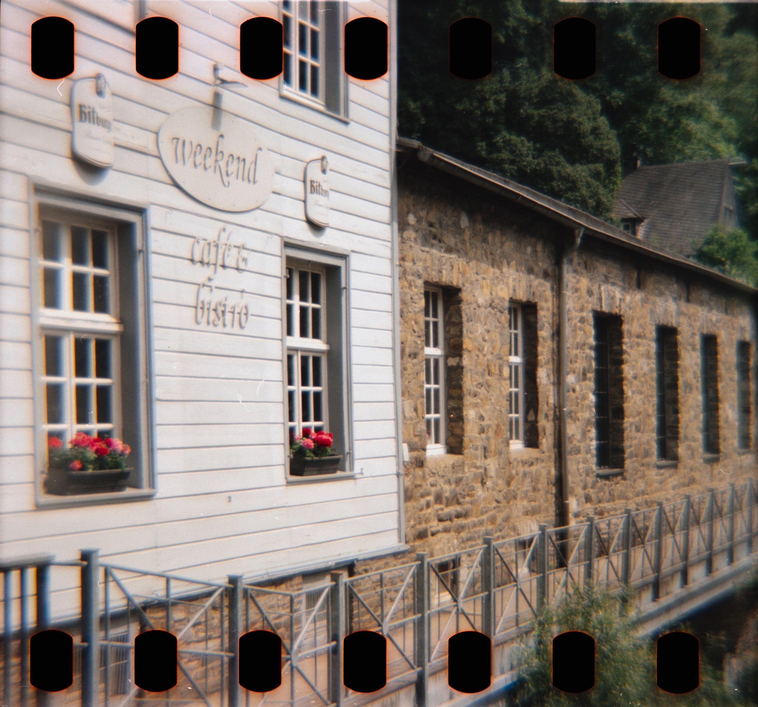DianaF+_Motion250D_10_2025-6.jpg