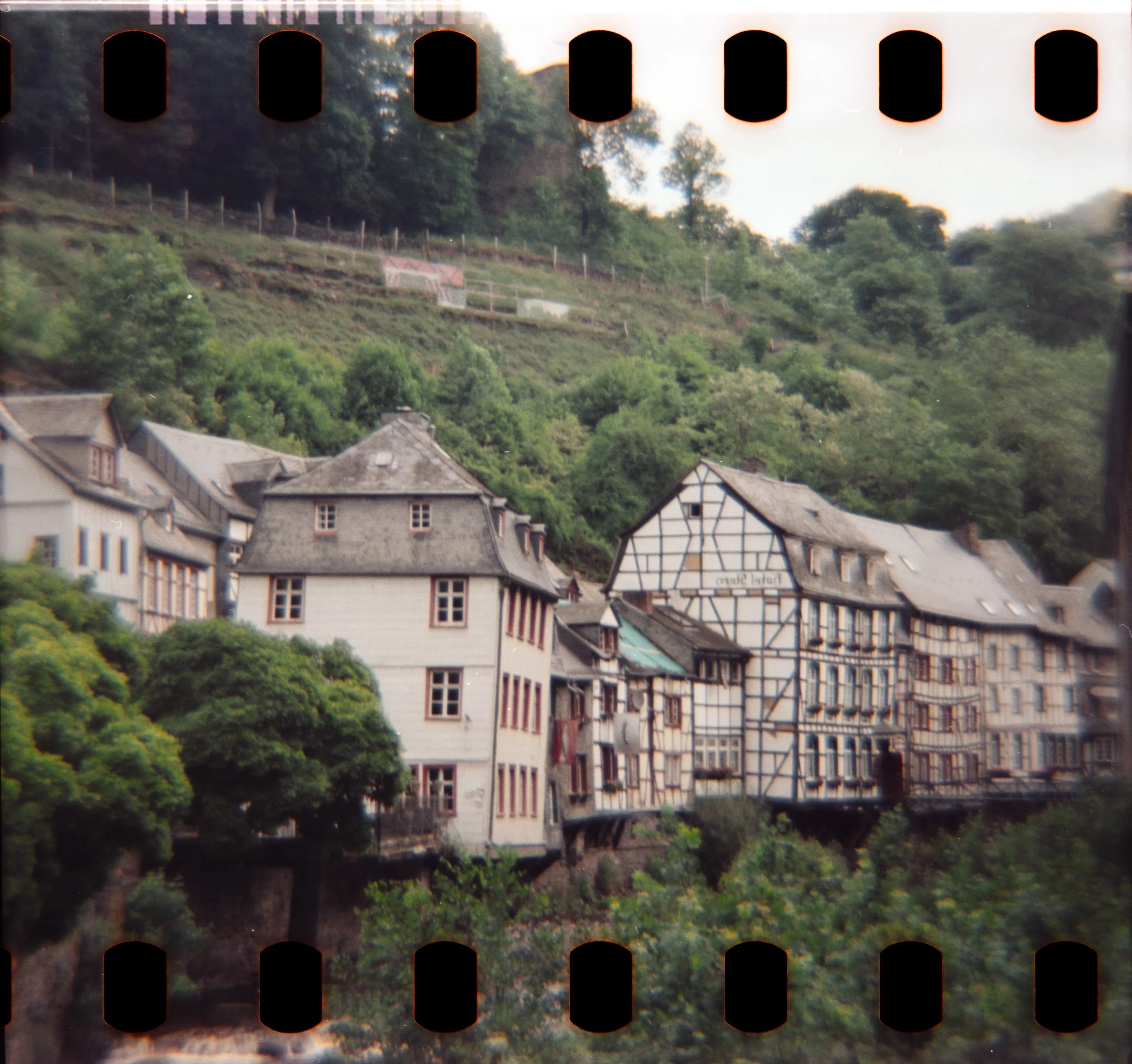 DianaF+_Motion250D_10_2025-19.jpg