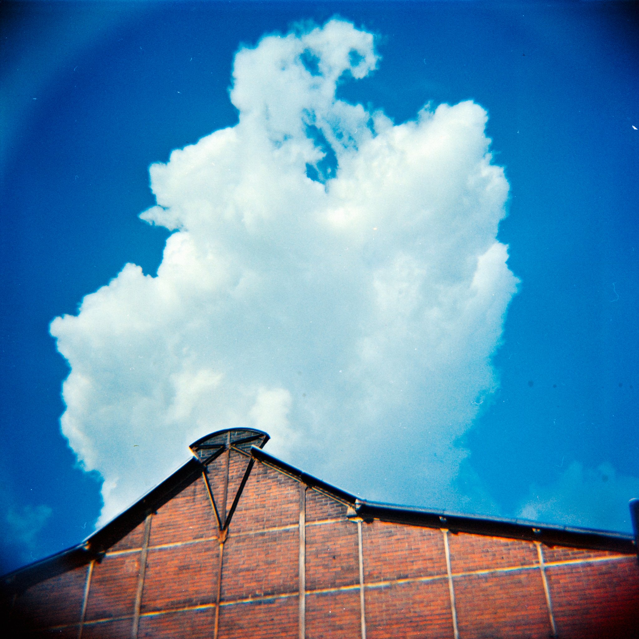 29_2026_DianaF+_Opticolour200-3.jpg