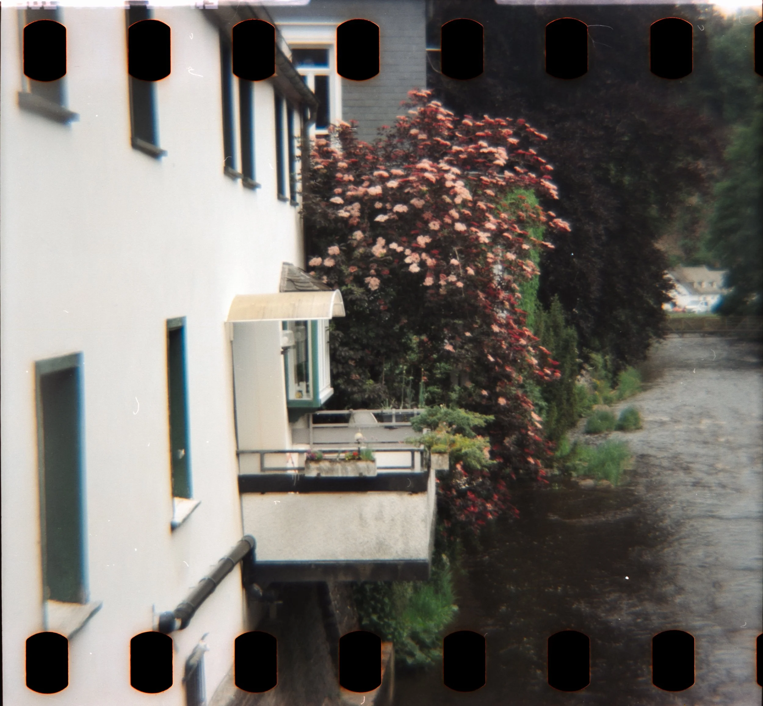 DianaF+_Motion250D_10_2025-18.jpg