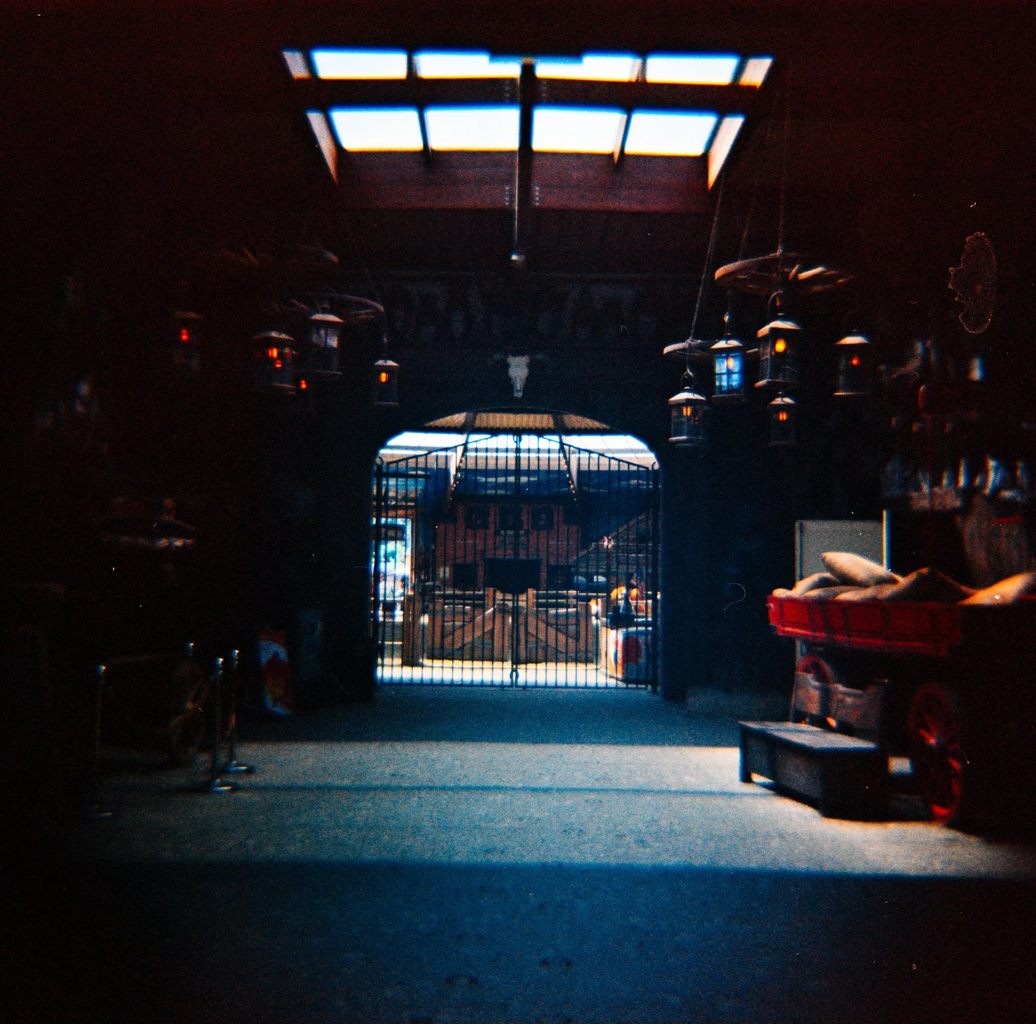 20_2026_DianaF+_OptiColor200-10.jpg