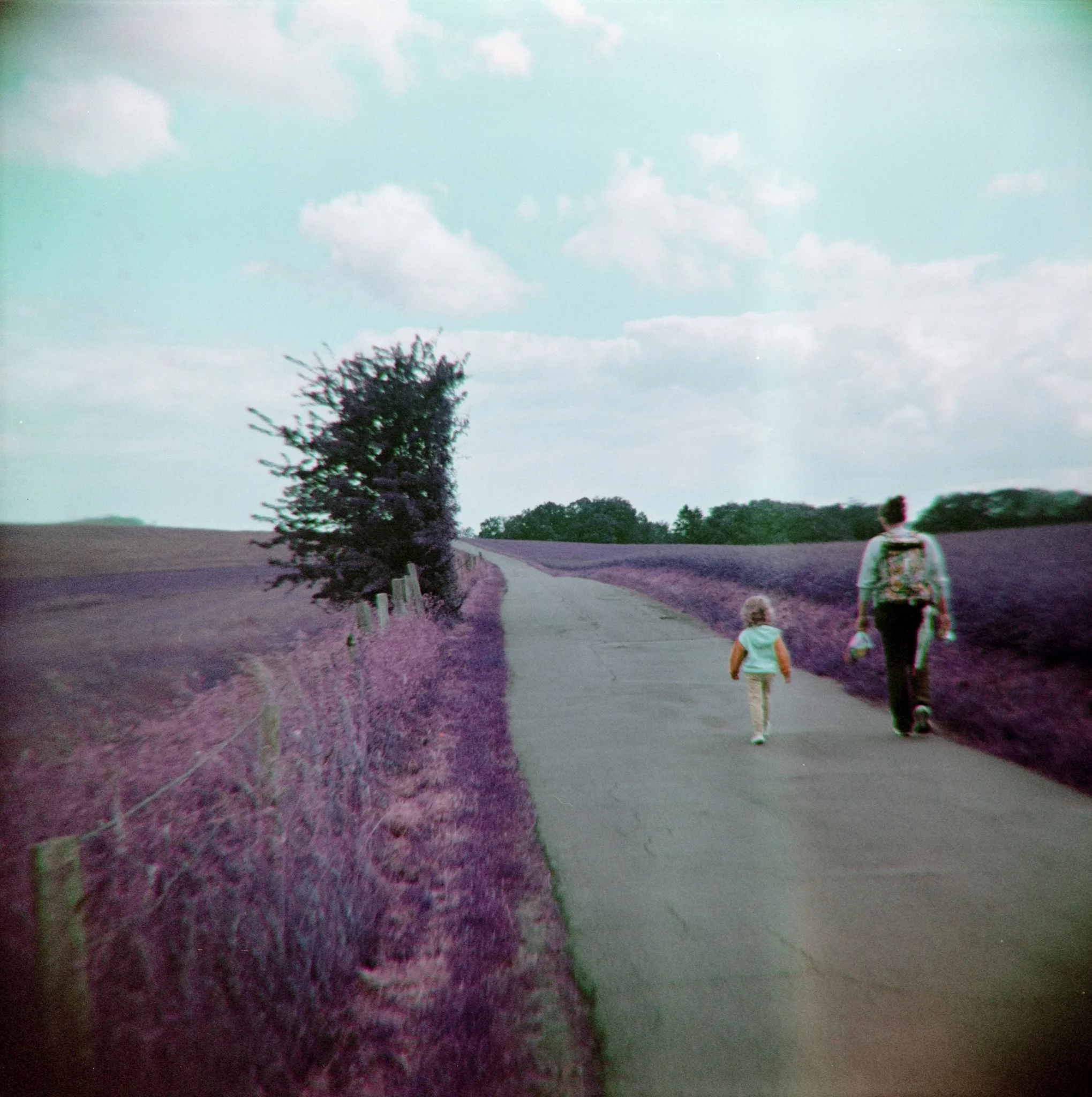 16_2026_DianaF+_LomoPurple200-4.jpg