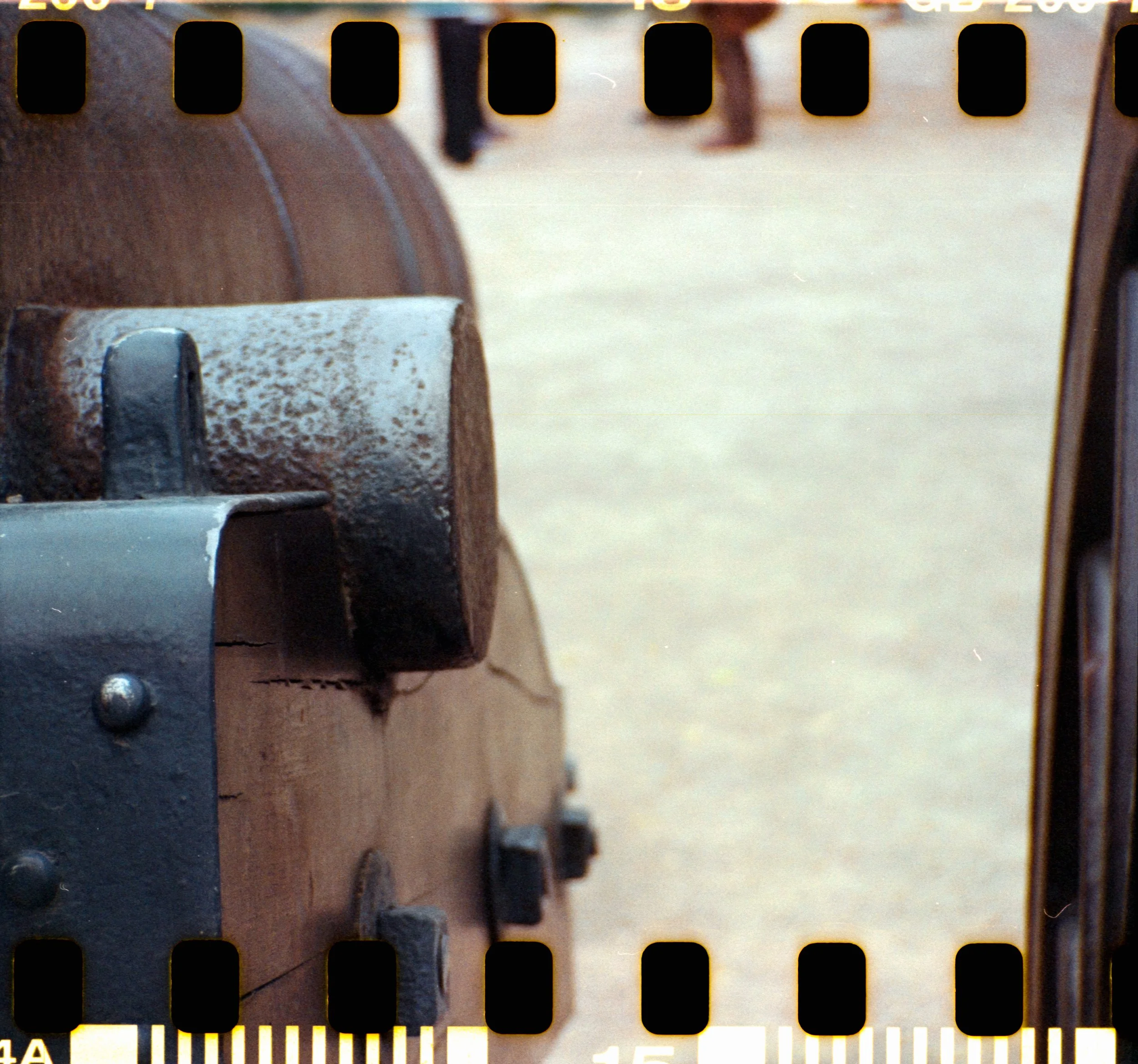 17_2026_DianaF+_KodakGold200-17.jpg