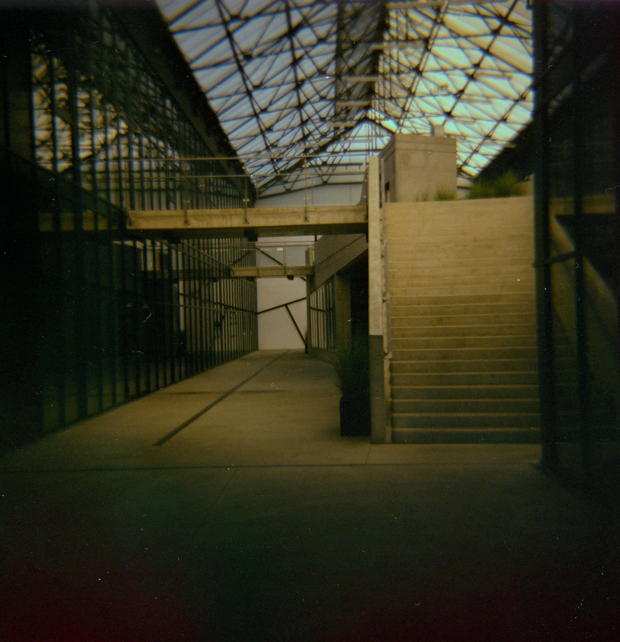 29_2026_DianaF+_KodakGold200-12.jpg