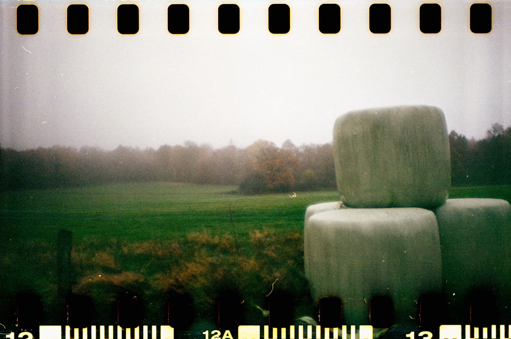 DianaF+_KodakGold200_15_2025-9.jpg