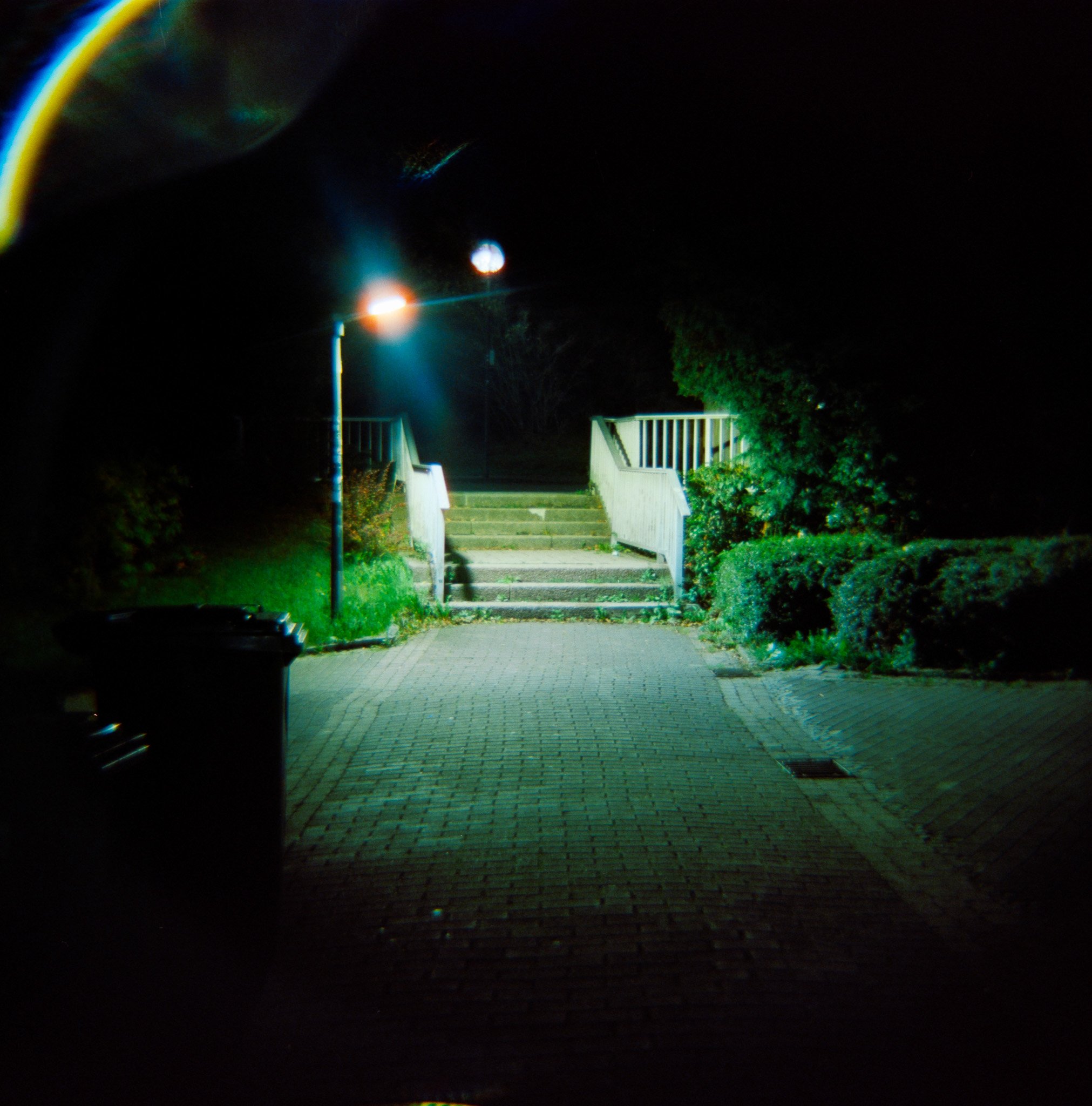 33_2026_DianaF+_CineStill800T-2.jpg