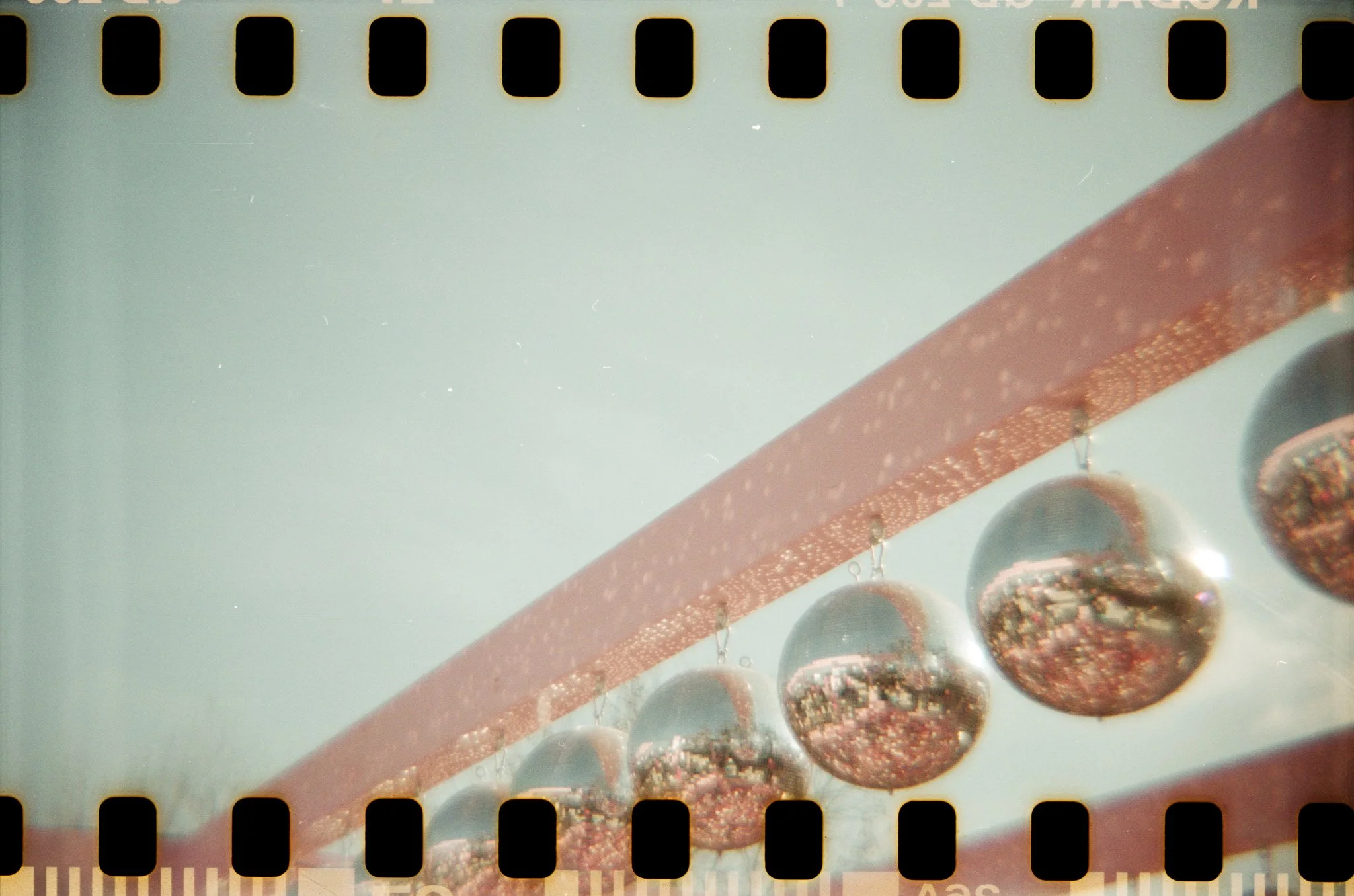 DianaF+_KodakGold200_06_2025-16.jpg