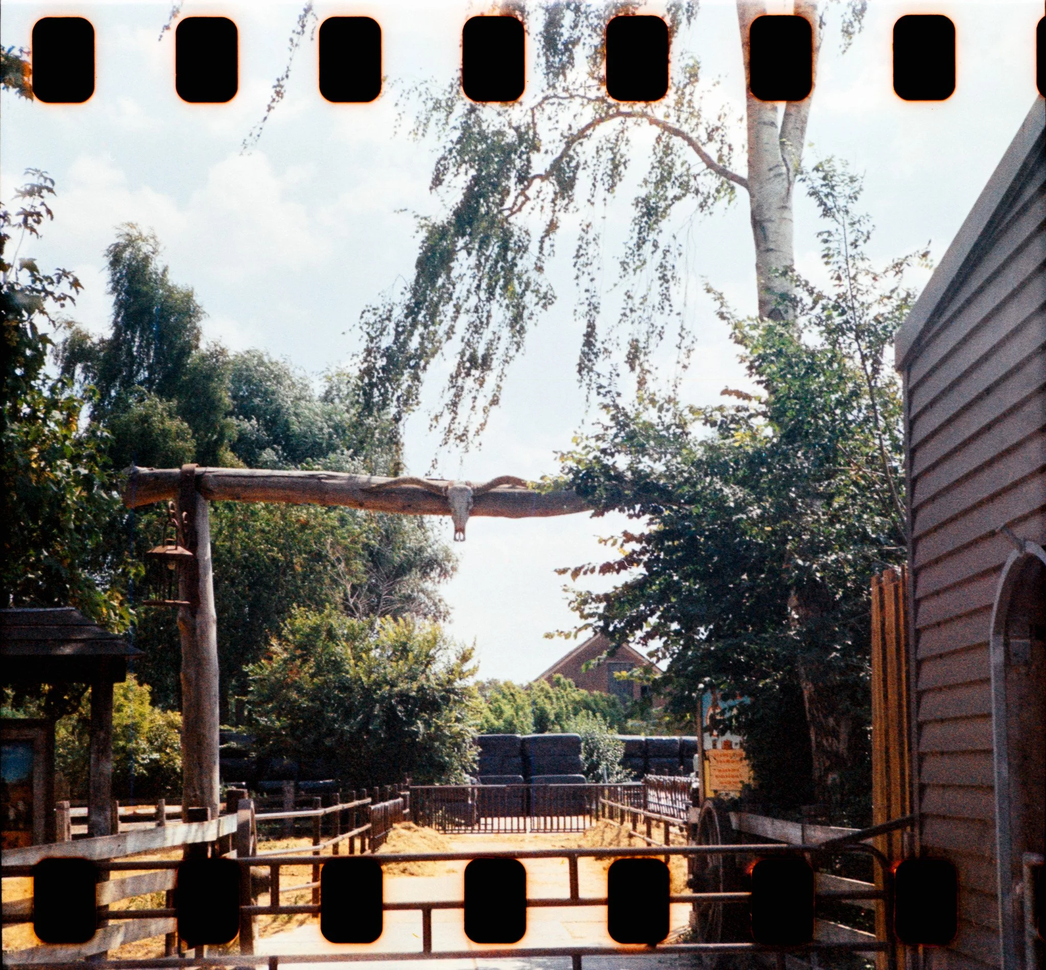 21_2026_DianaF+_Kono200-9.jpg