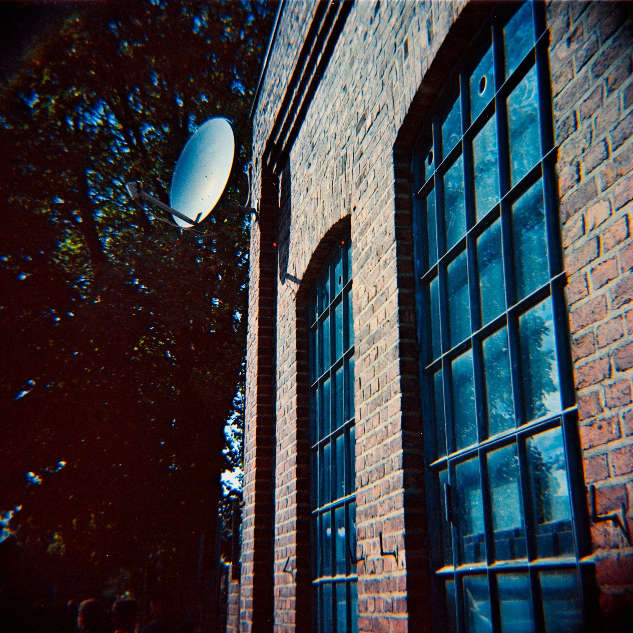 29_2026_DianaF+_Opticolour200-1.jpg