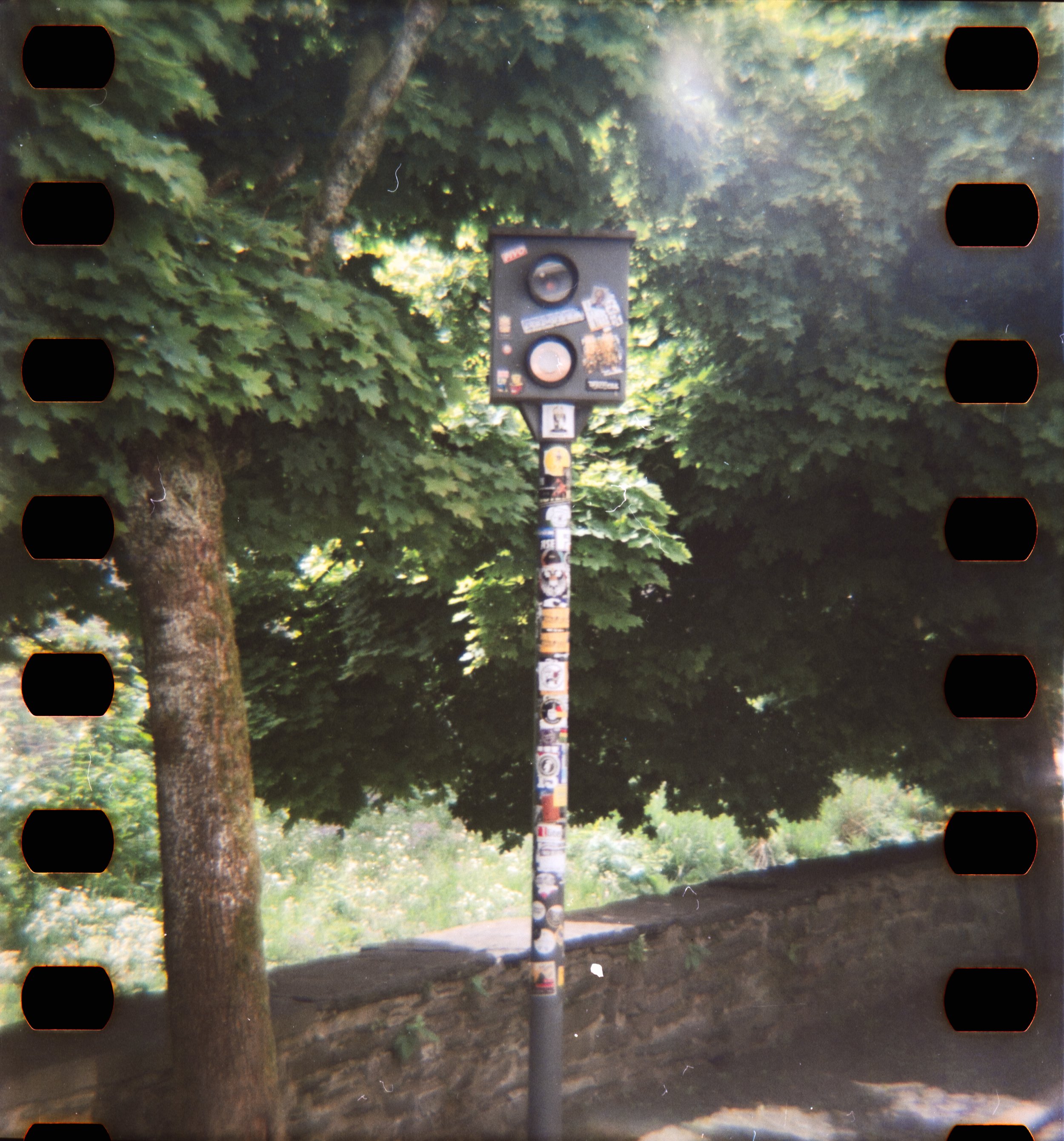 DianaF+_Motion250D_10_2025-17.jpg