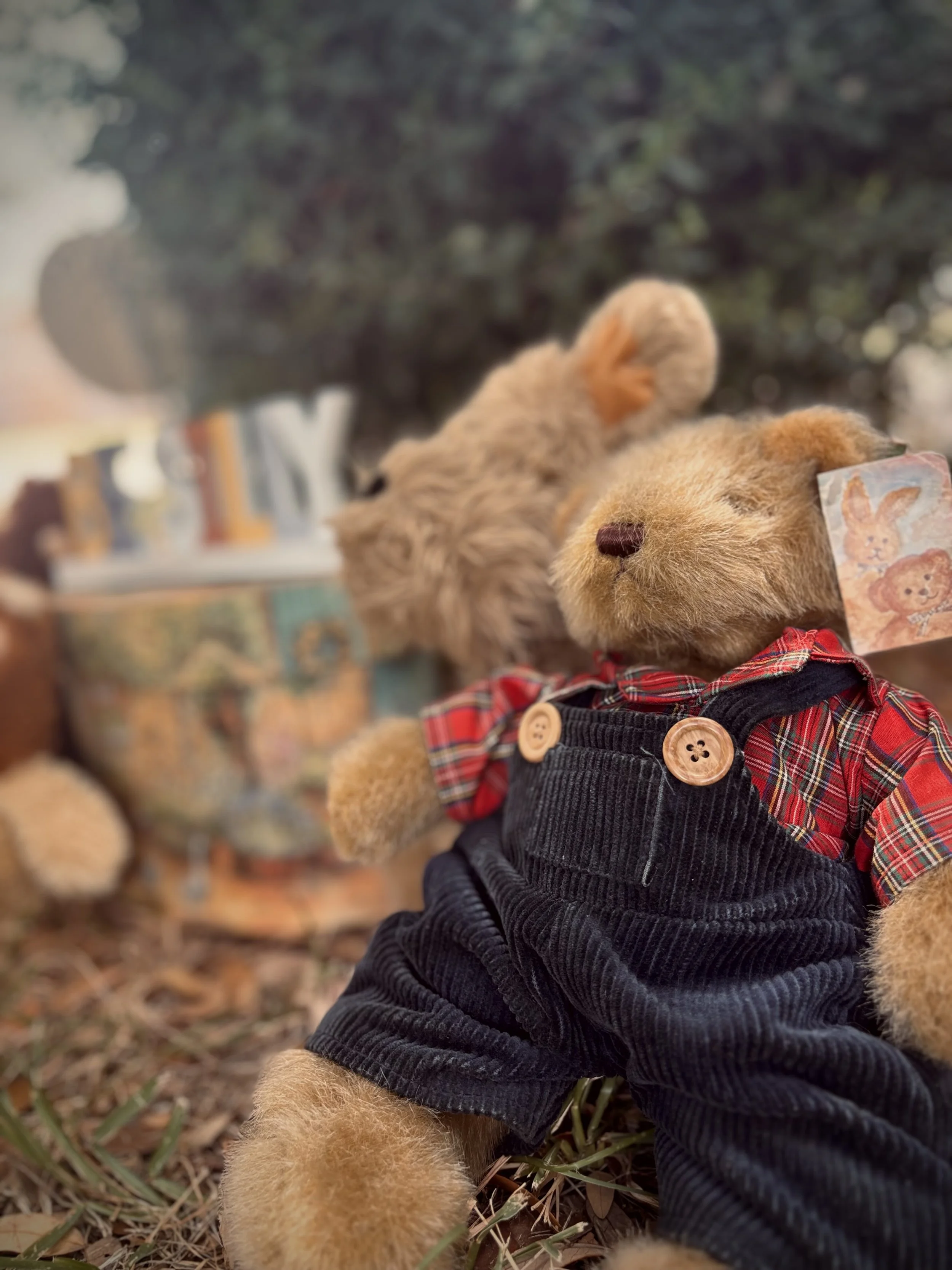 A stuffed teddy bear dressed in a black vest, red plaid shirt, and with a tag of a rabbit, sitting outdoors with another teddy bear, against a background of trees and outdoor scenery.