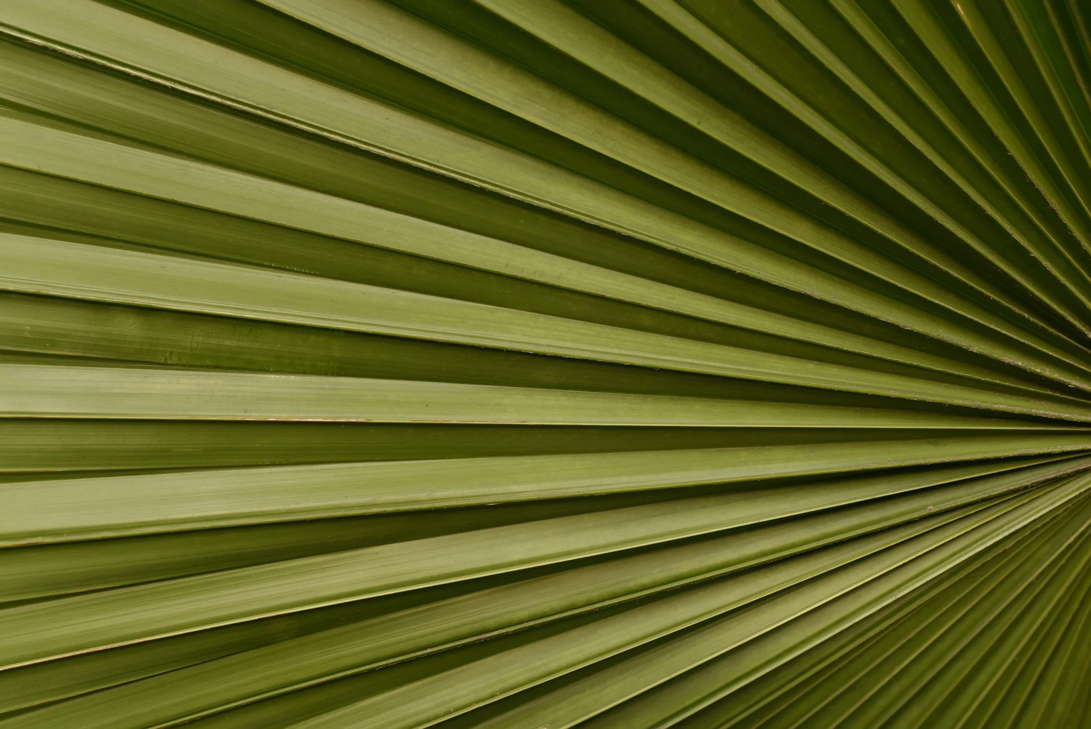 iStock-1362227593.jpg