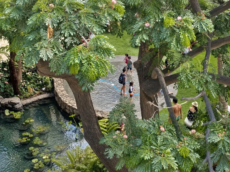 Celestial Pool at the International Market Place, Waikiki