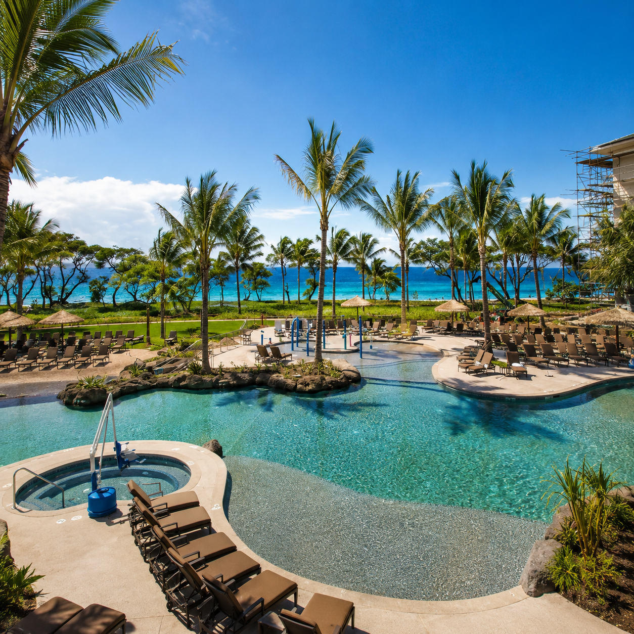 Luxury resort swimming pool with lounge chairs, palm trees, and ocean view