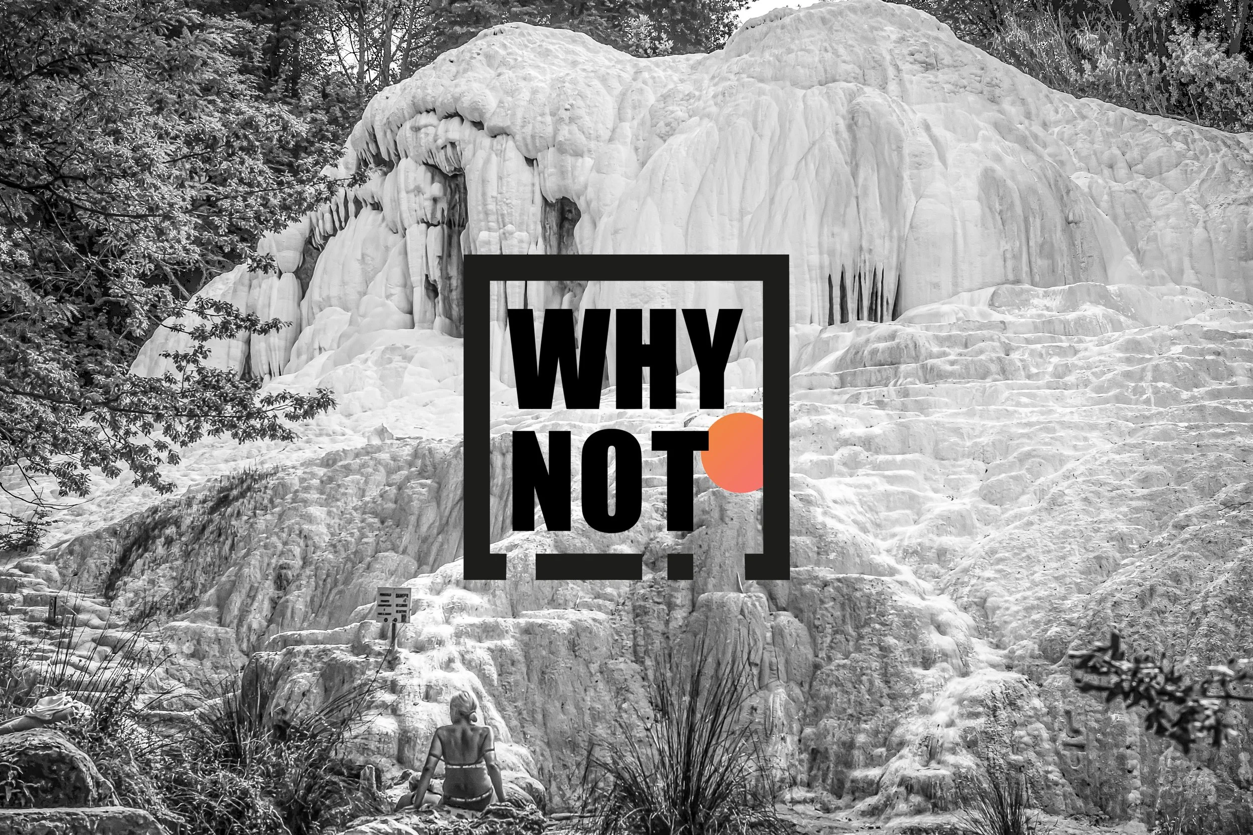 Collectif Why…Not!