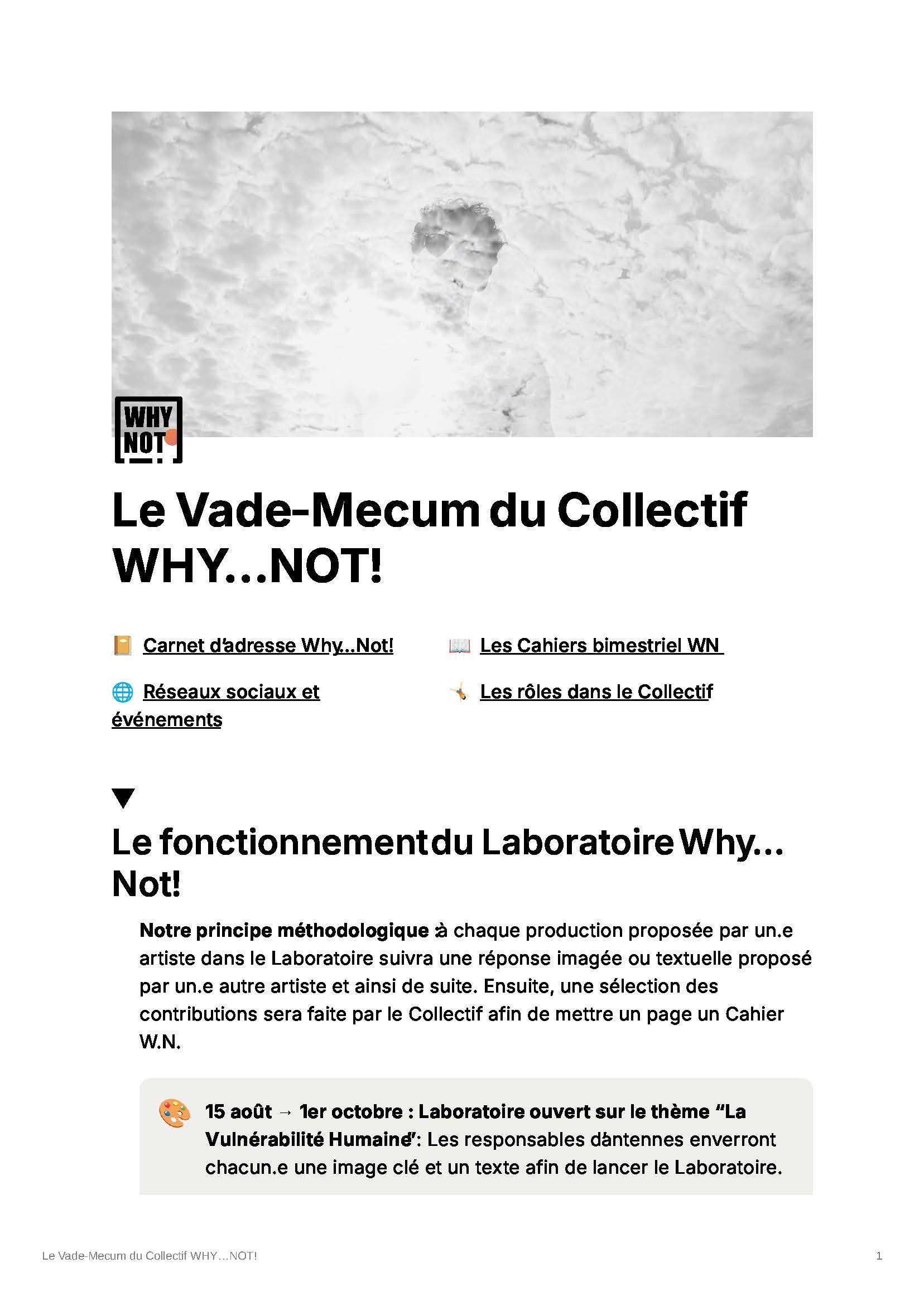 0e9c9bc9-ad18-4a47-905c-6a8377f22200_Le_Vade-Mecum_du_Collectif_WHYNOT!_Page_1.jpg