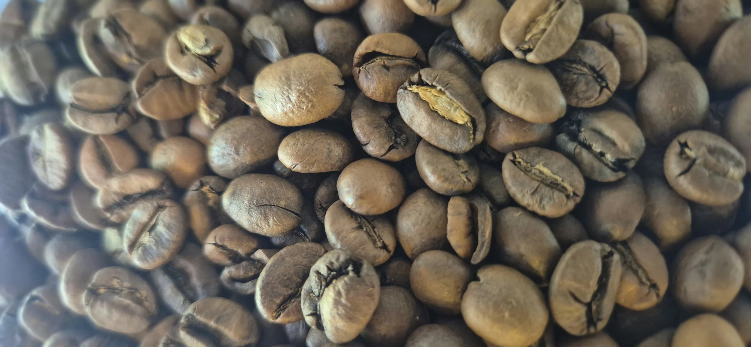 Close-up view of roasted coffee beans