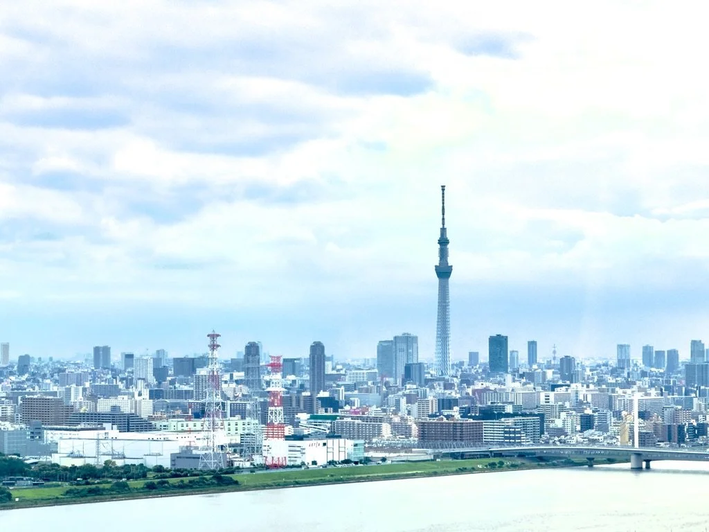 D21B3F8C-742F-4B20-8A76-10C9508441EB_1_105_c.jpeg