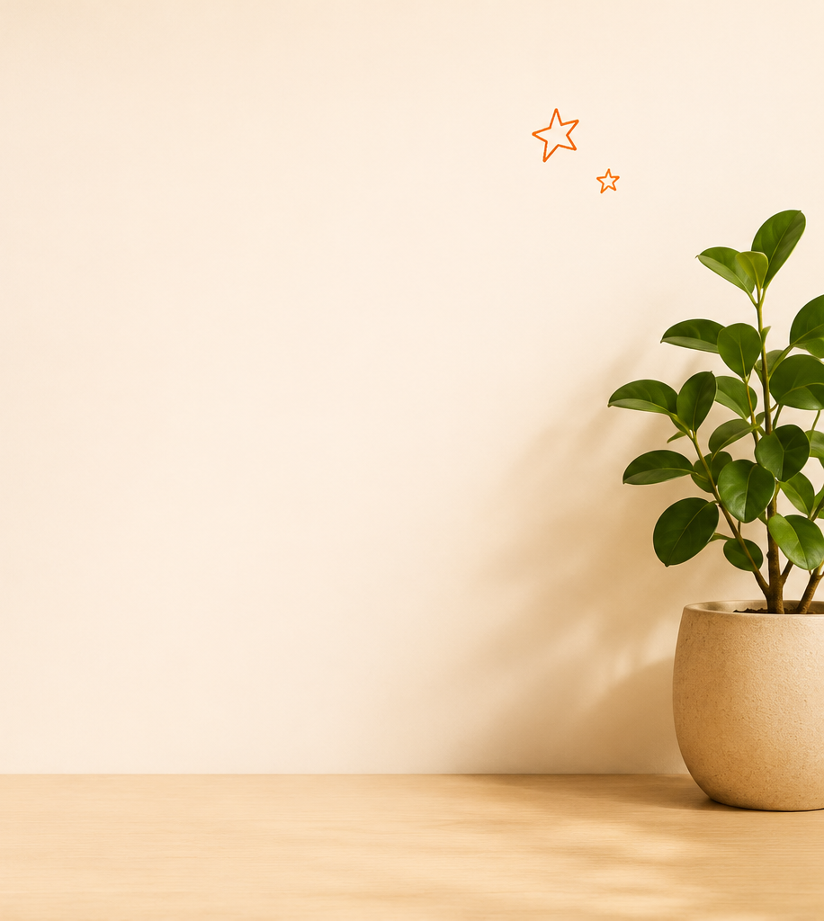 A potted green plant with broad leaves on a wooden surface next to a plain white wall with two small orange star-shaped decals.