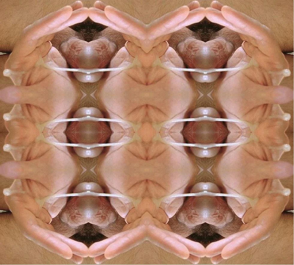 "Untitled" from Pornoshop series (2005)
Digitally manipulated pornographic image