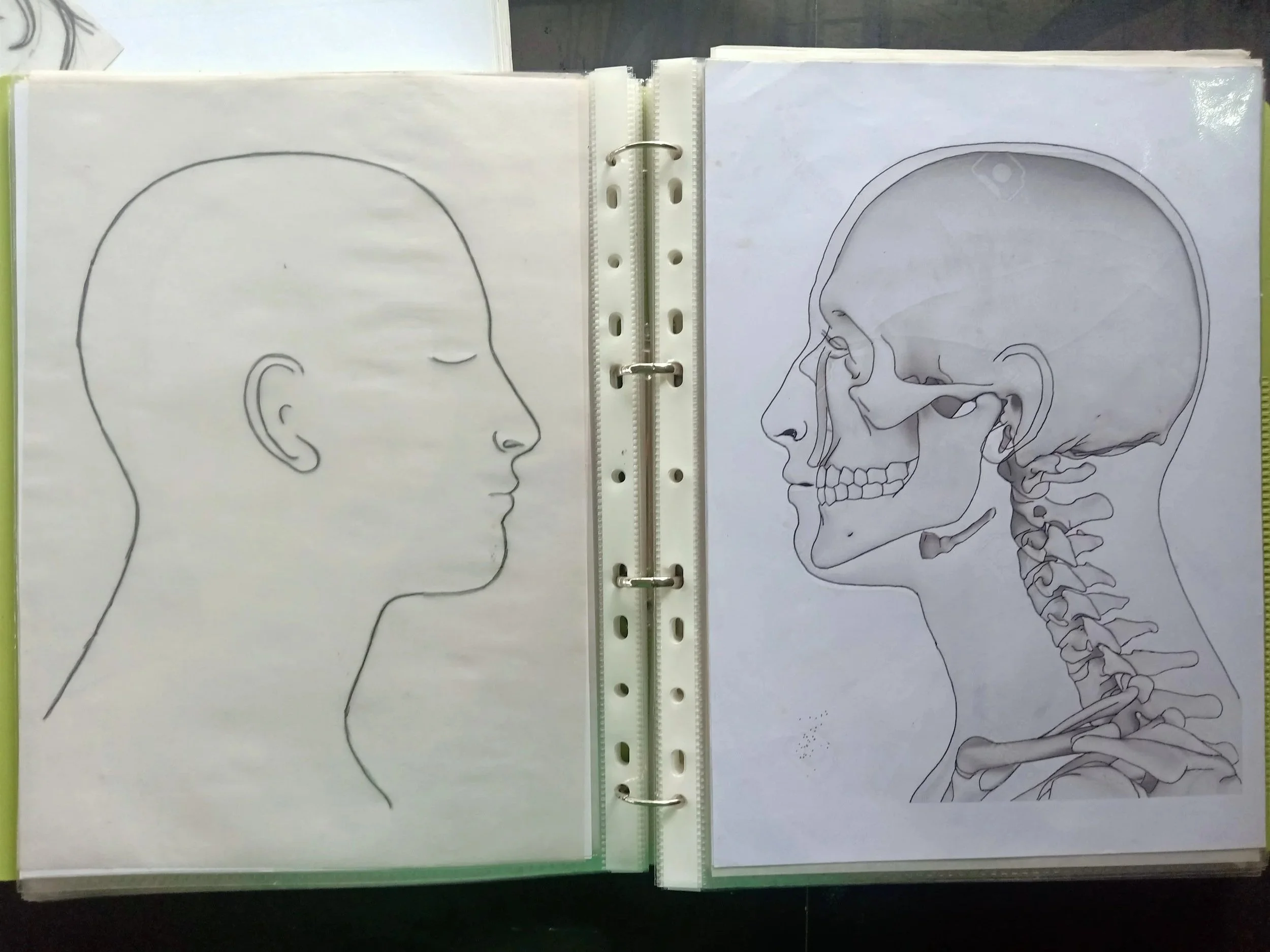 Study and source image used for "Together/Flesh & Bone" (2020)